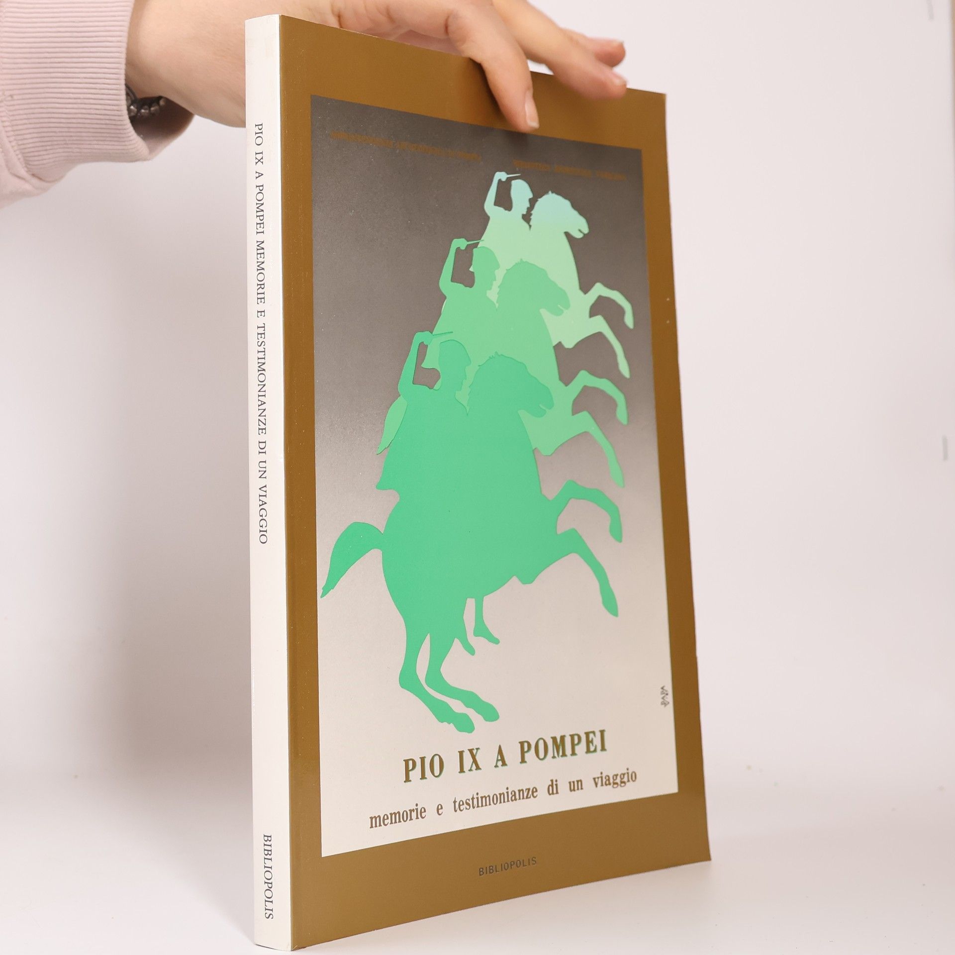 AA.VV. Pio IX a Pompei