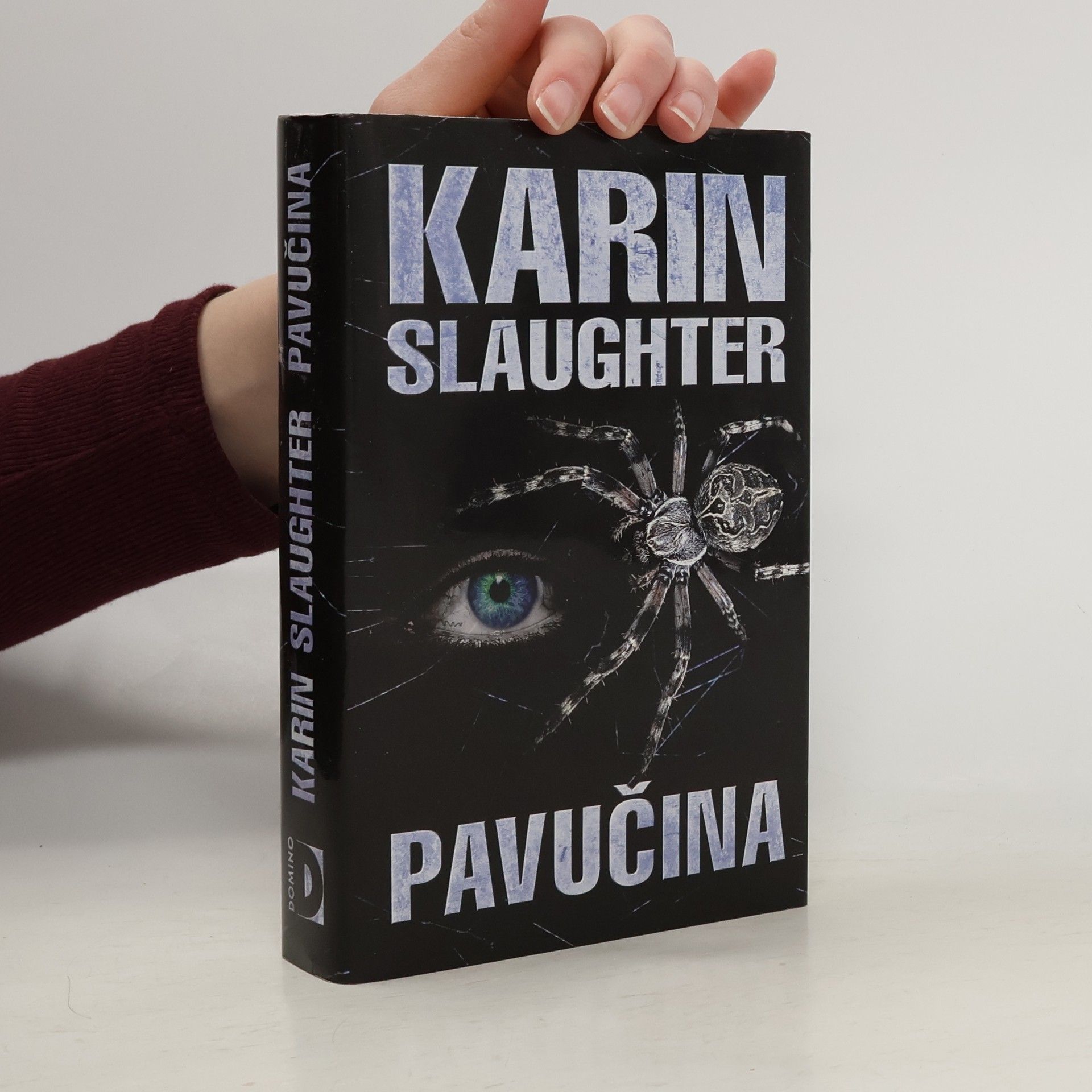 Karin Slaughter Pavučina