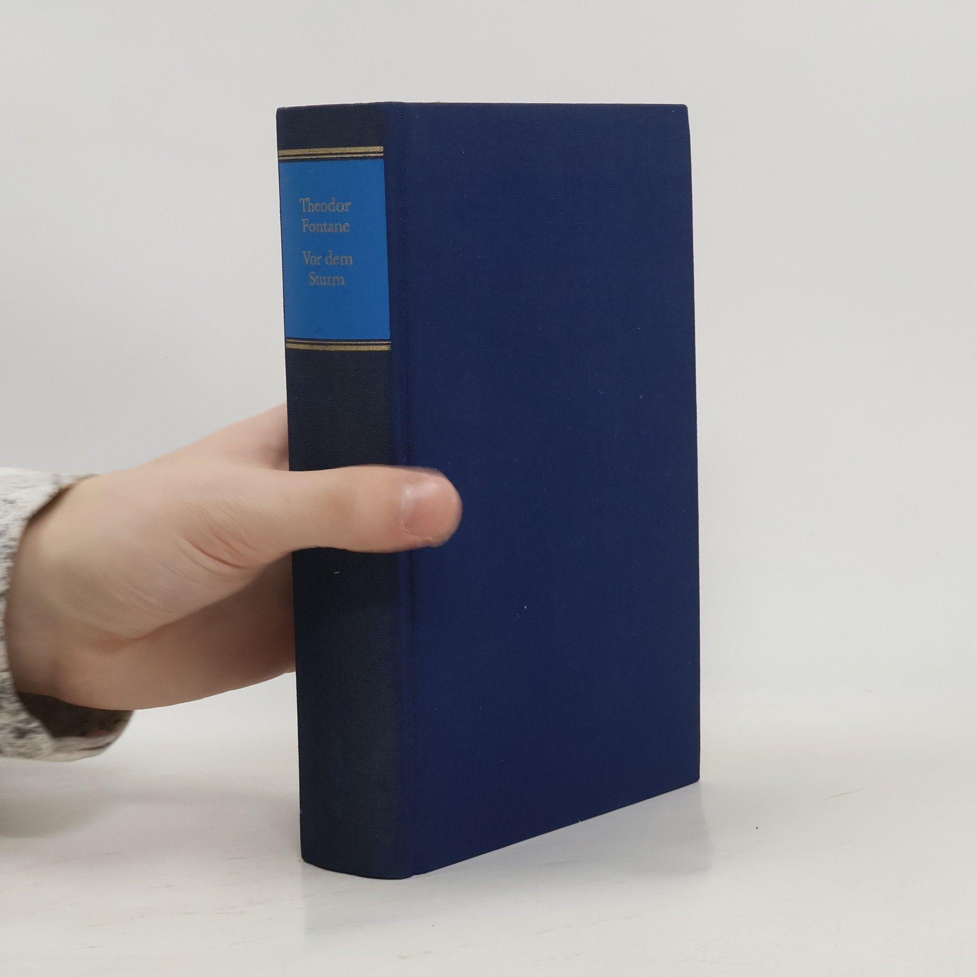 Theodor Fontane Vor dem Sturm