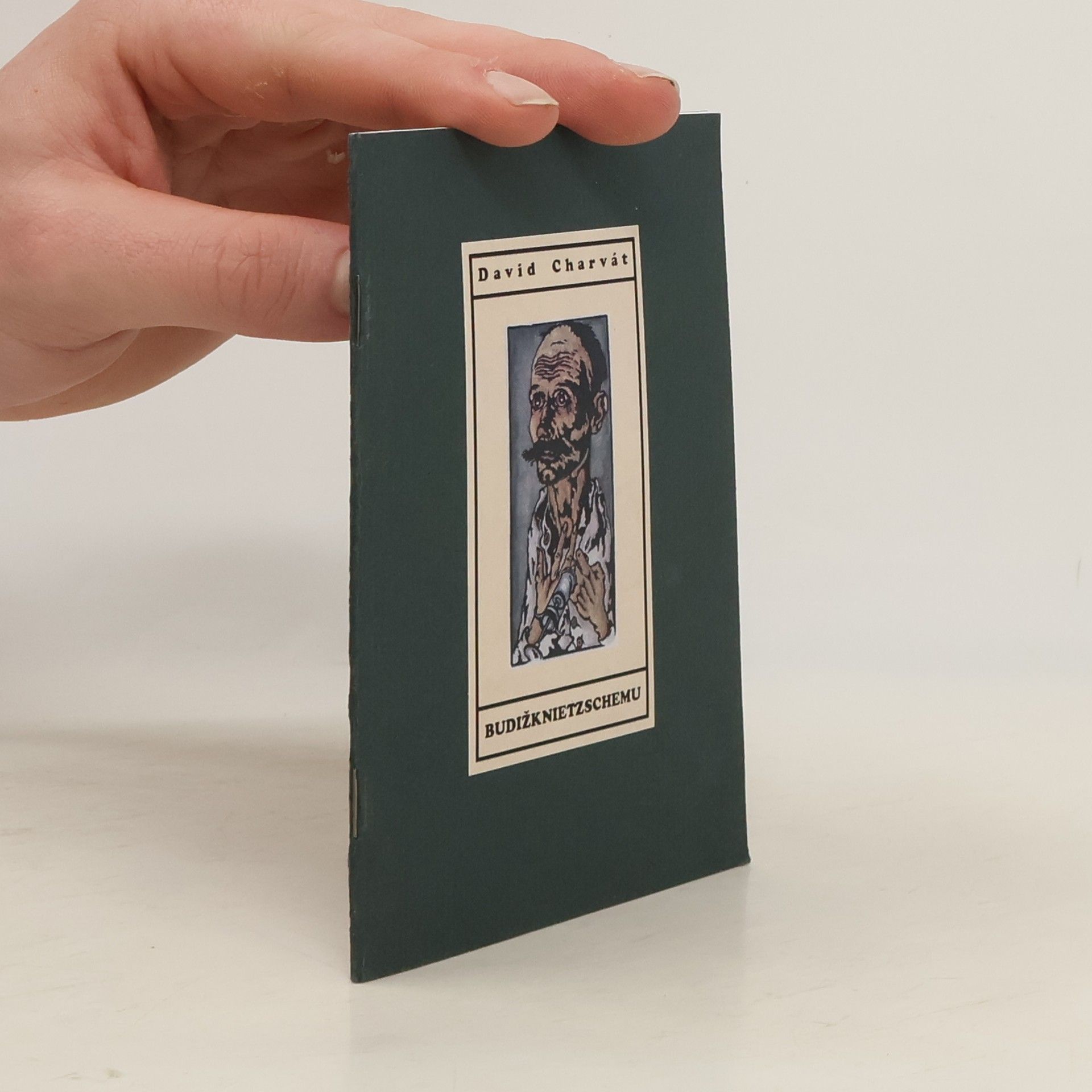 David Charvát Budižknietzschemu