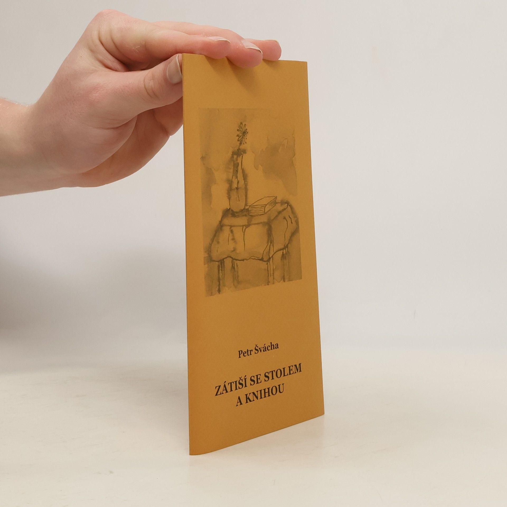 Zátiší se stolem a knihou