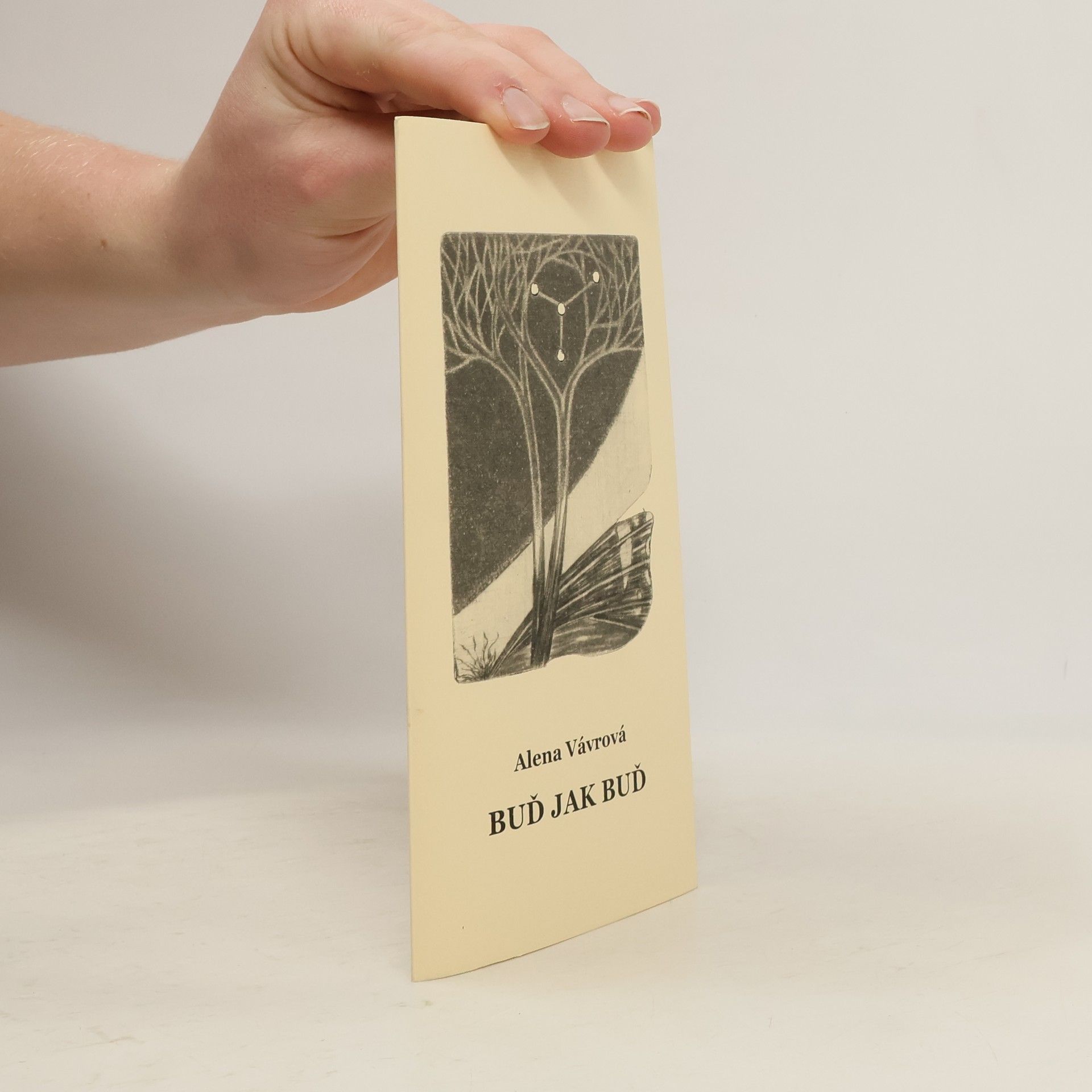 Alena Vávrová Buď jak buď
