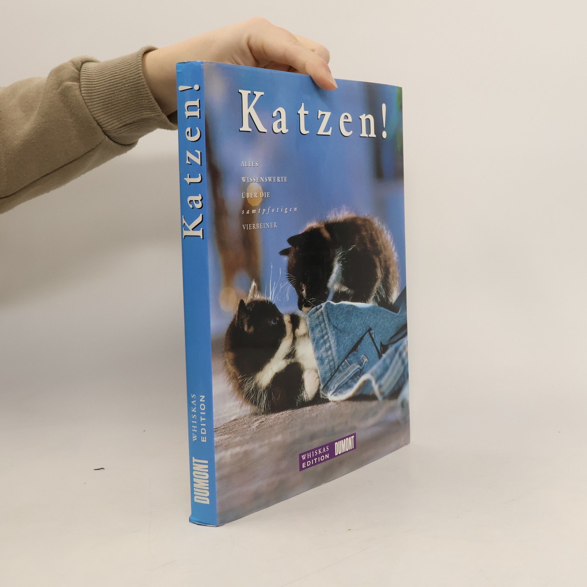 Robert M. Rellingen Katzen!