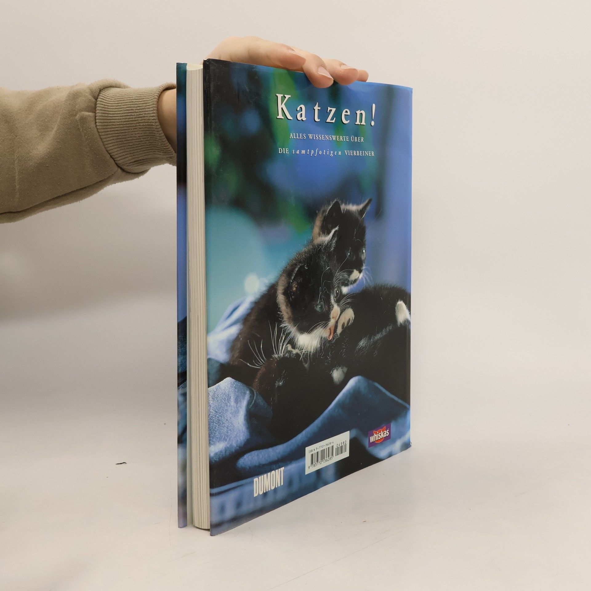 Robert M. Rellingen Katzen!