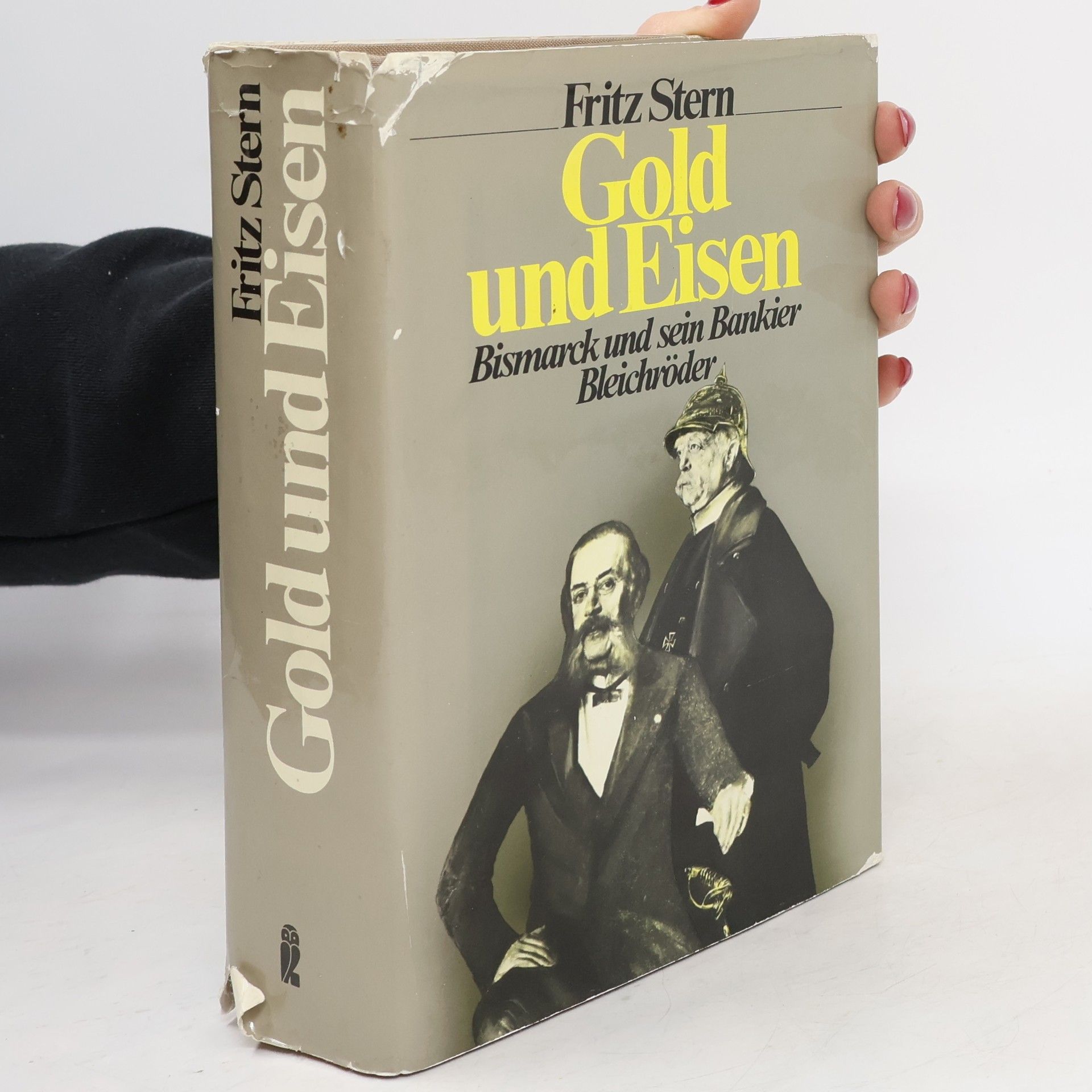 Fritz Stern Gold und Eisen