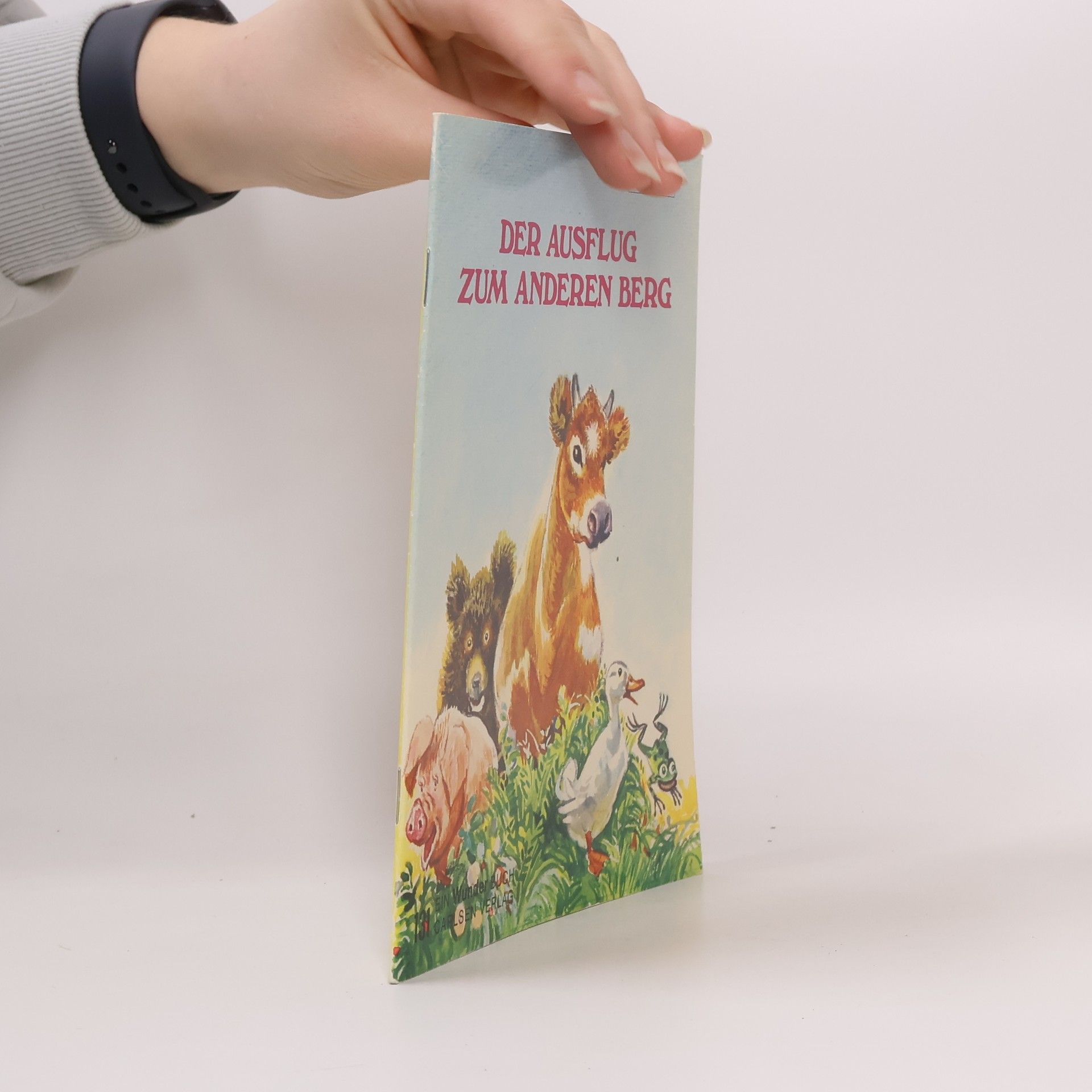 Auteurscollectief Der Ausflug zum anderen Berg