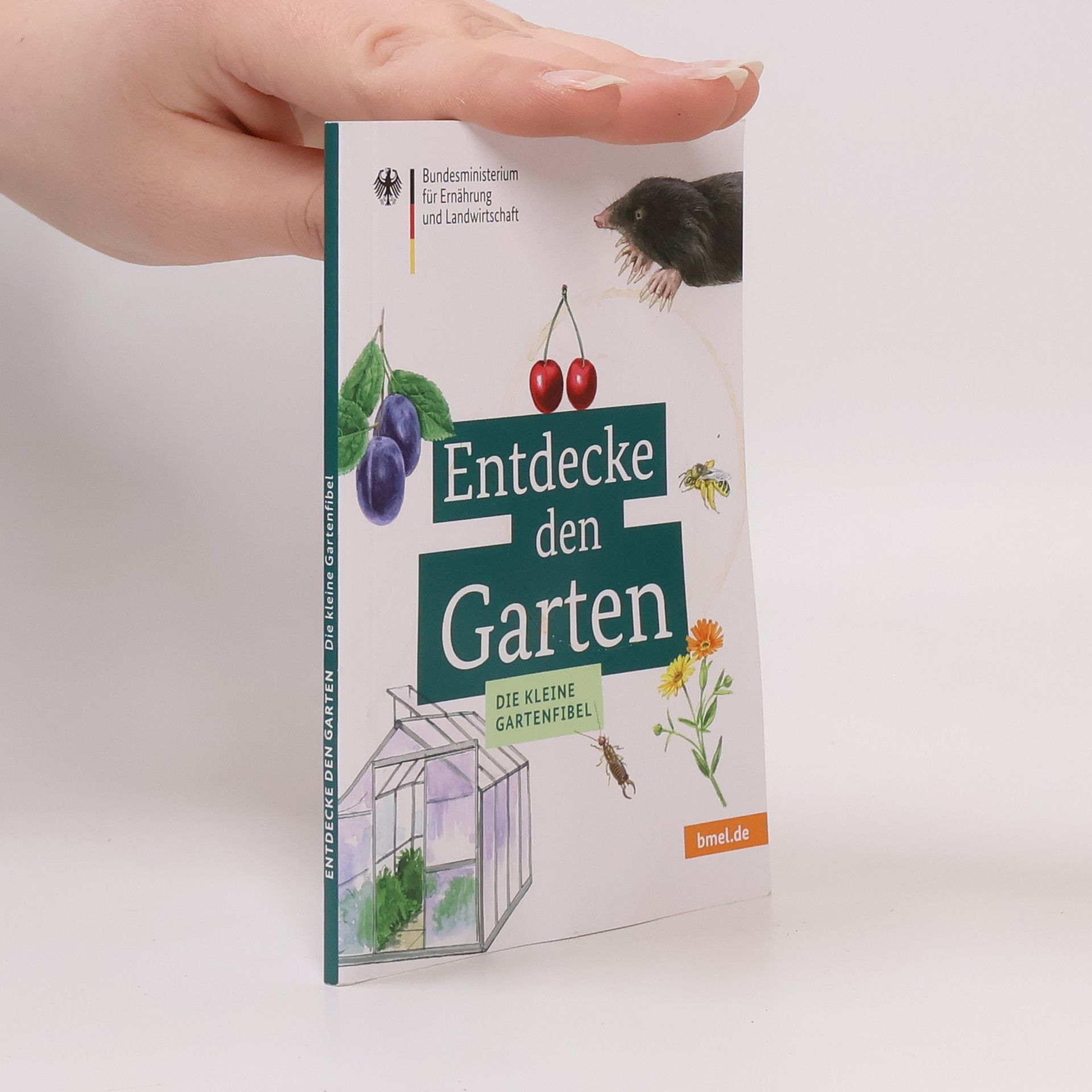Entdecke den Garten
