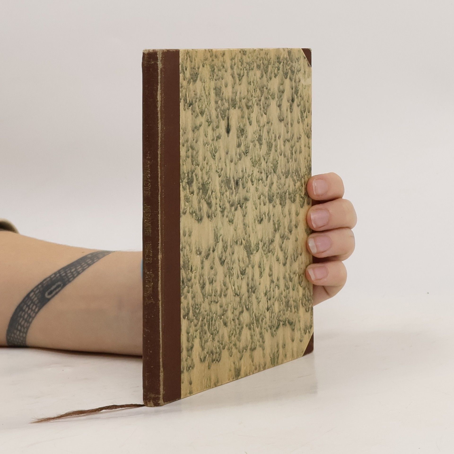 Elena Marothy Soltesova