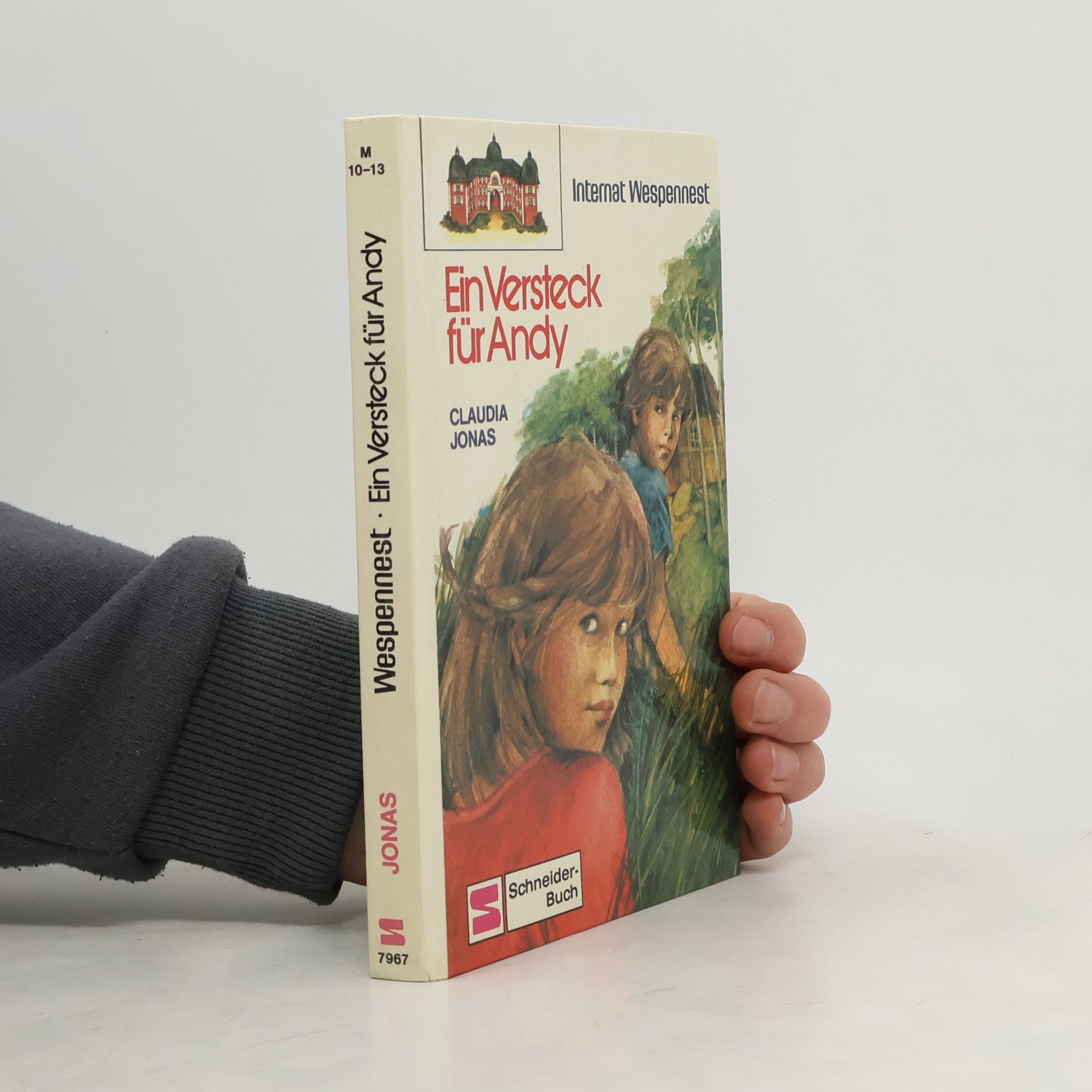 Claudia Jonas Internat Wespennest: Ein Versteck für Andy