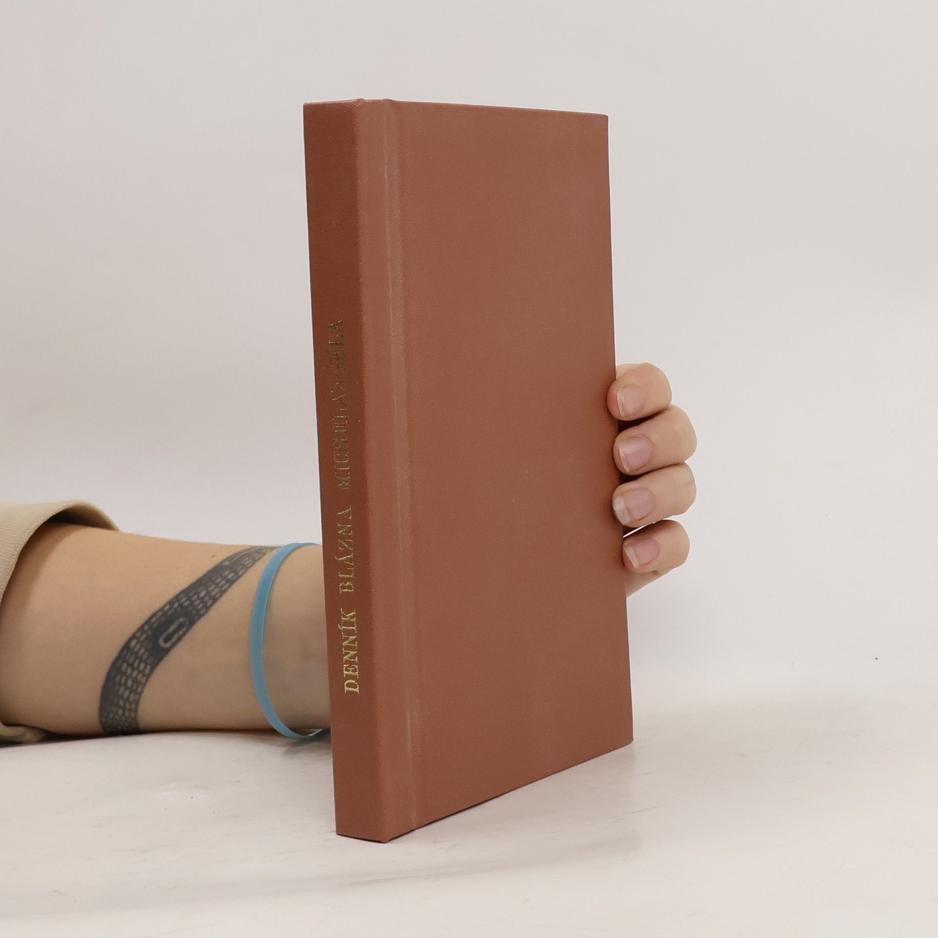 Denník blázna Michelangela