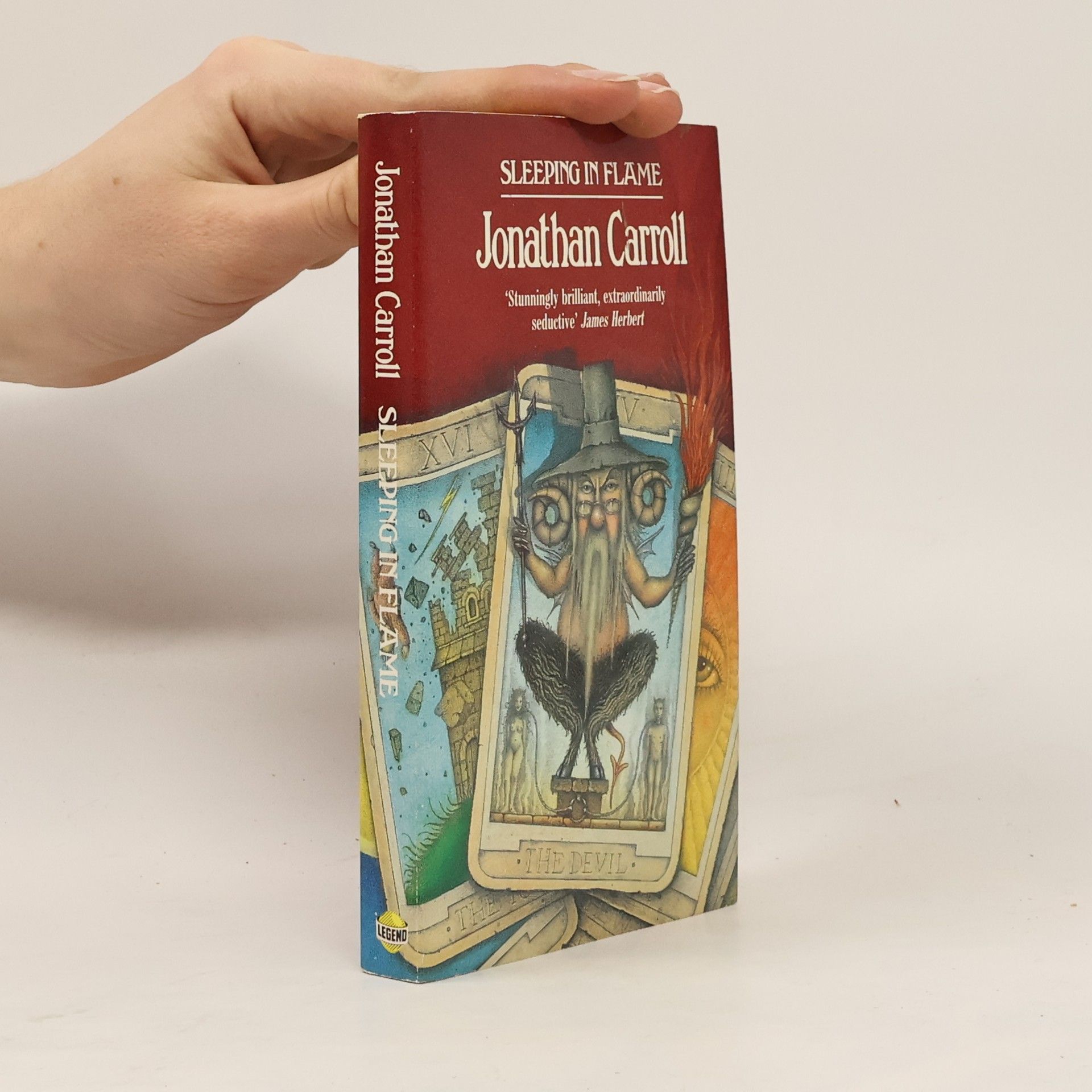 Jonathan Carroll Sleeping in Flame