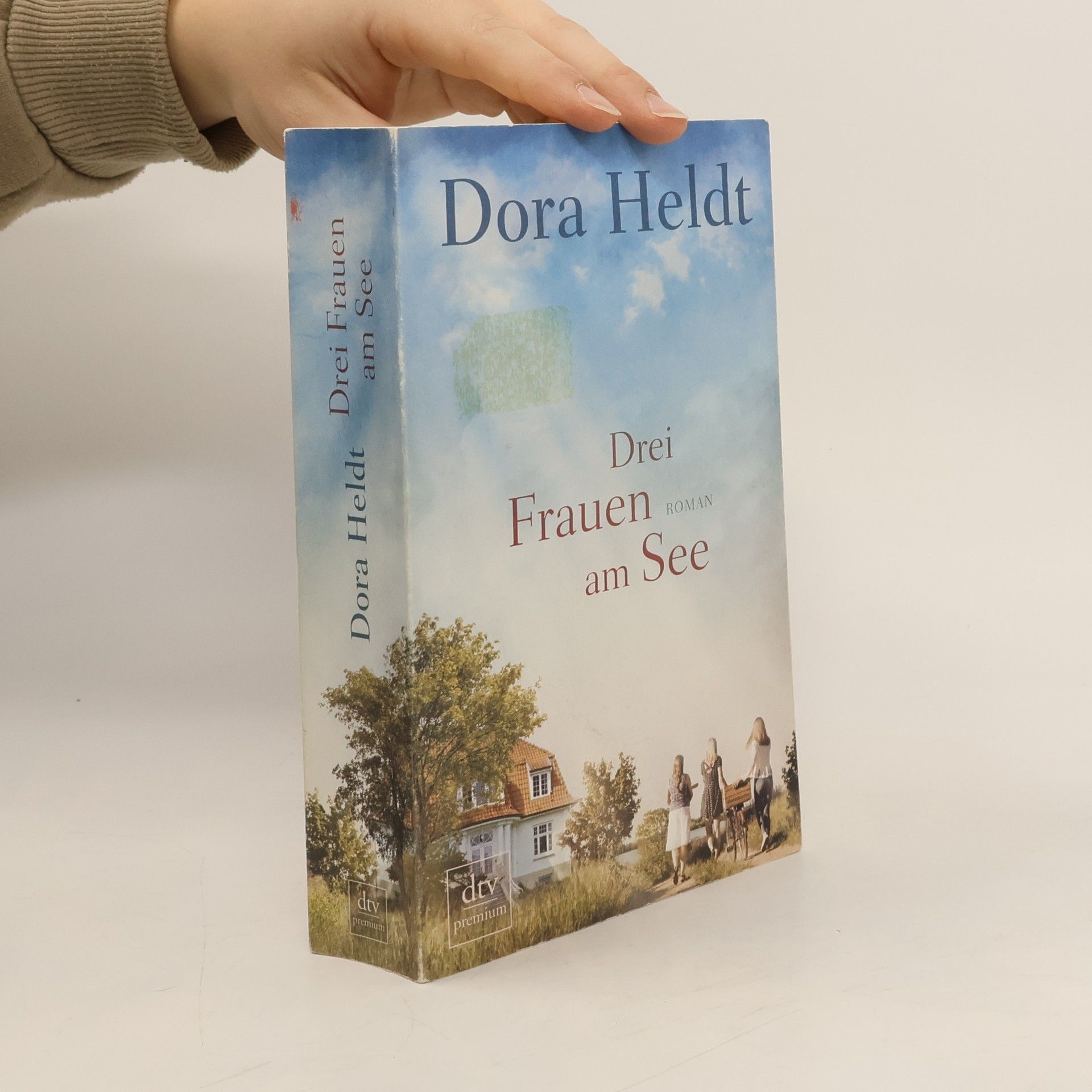Dora Heldt Drei Frauen am See