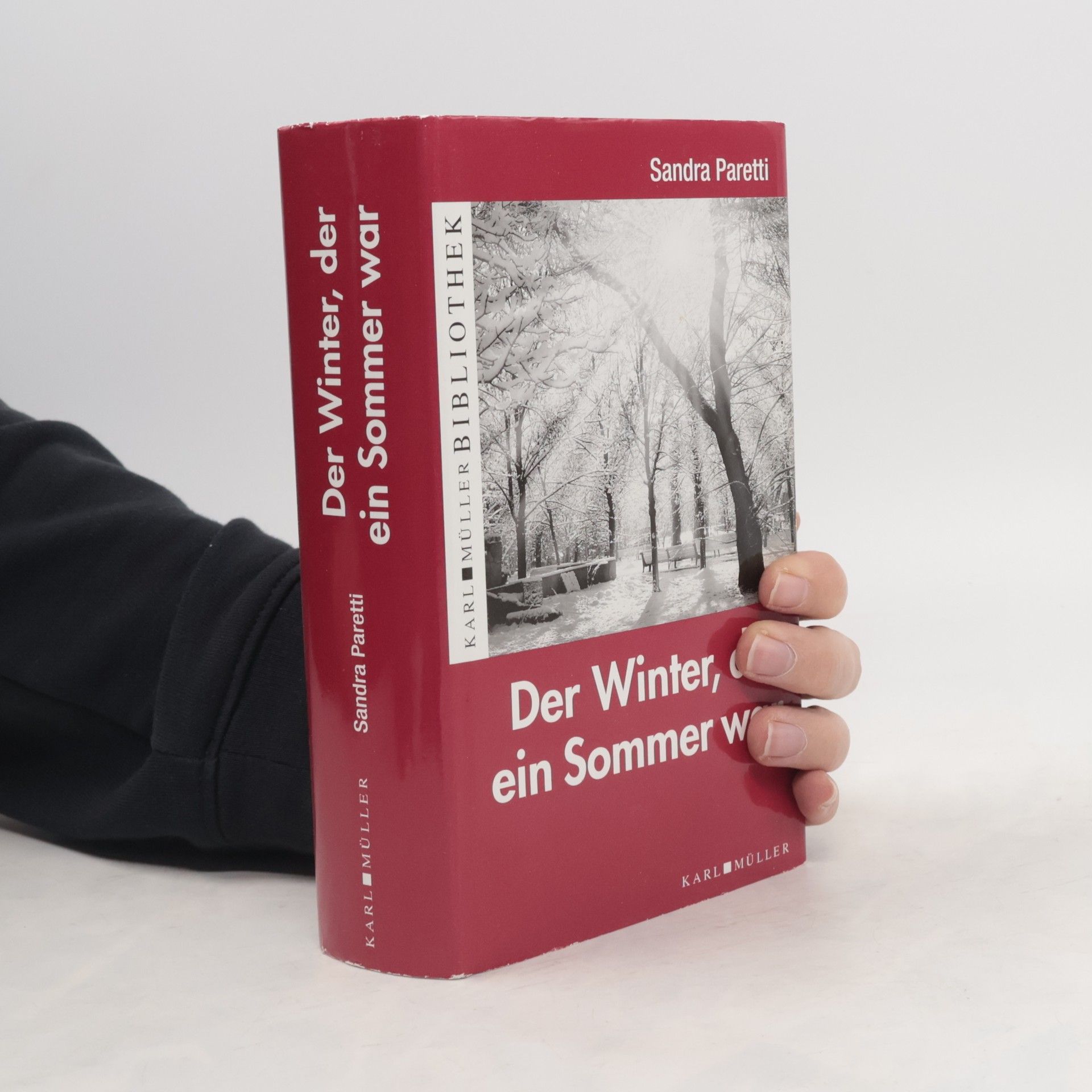 Sandra Paretti Der Winter, der ein Sommer war