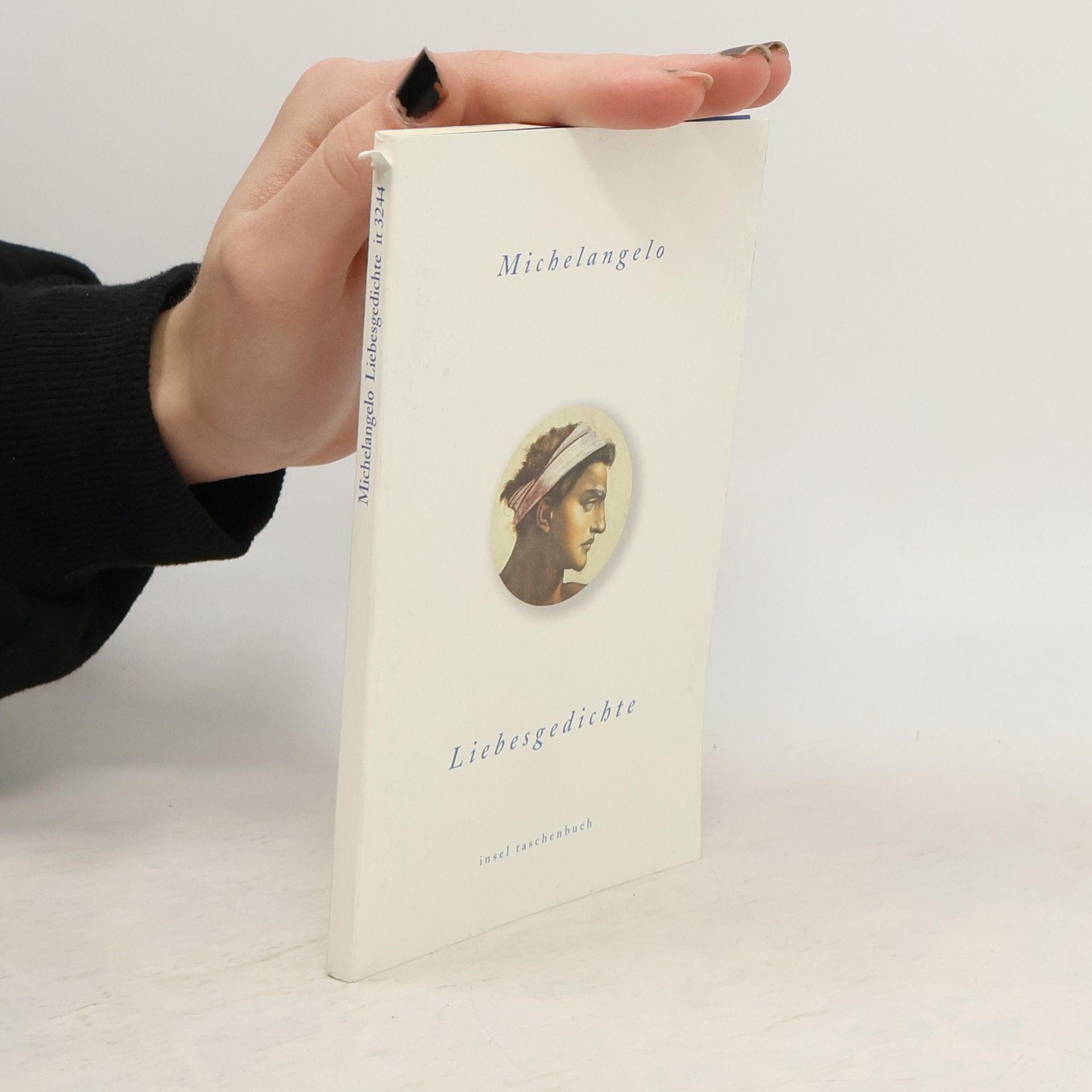 Michelangelo Buonarroti Liebesgedichte