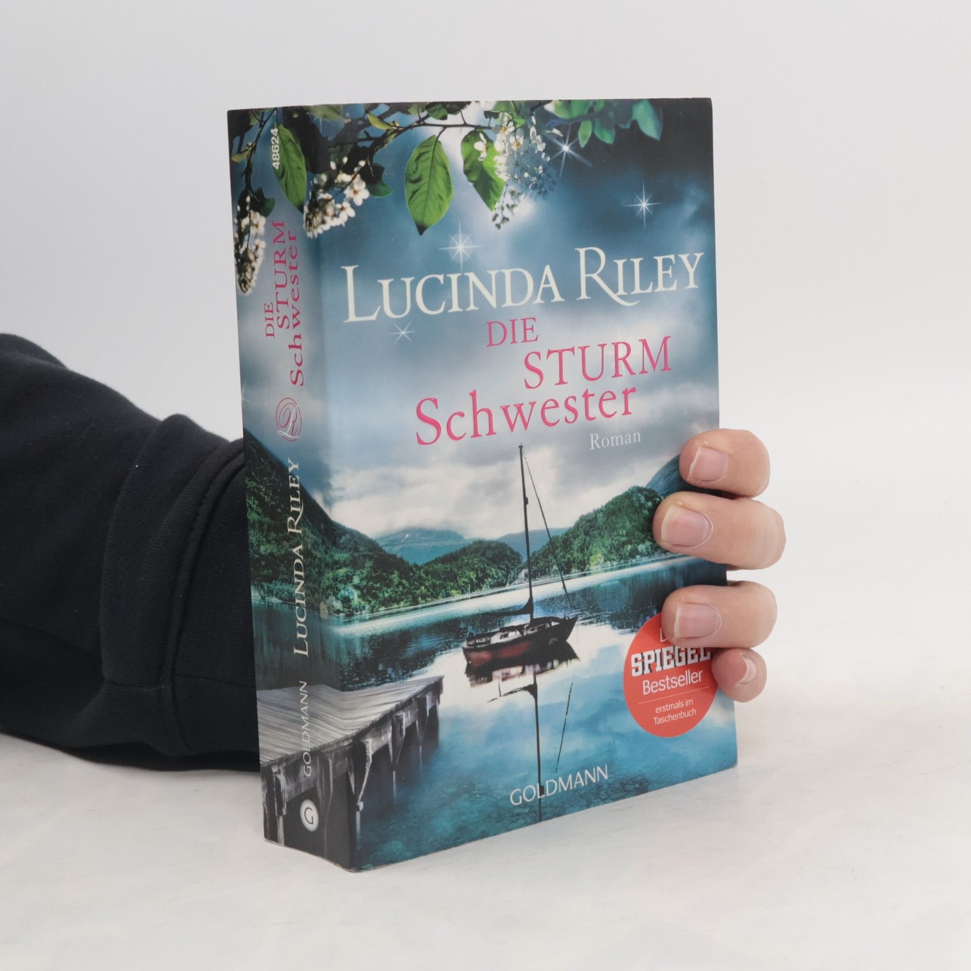 Lucinda Riley Die Sturmschwester
