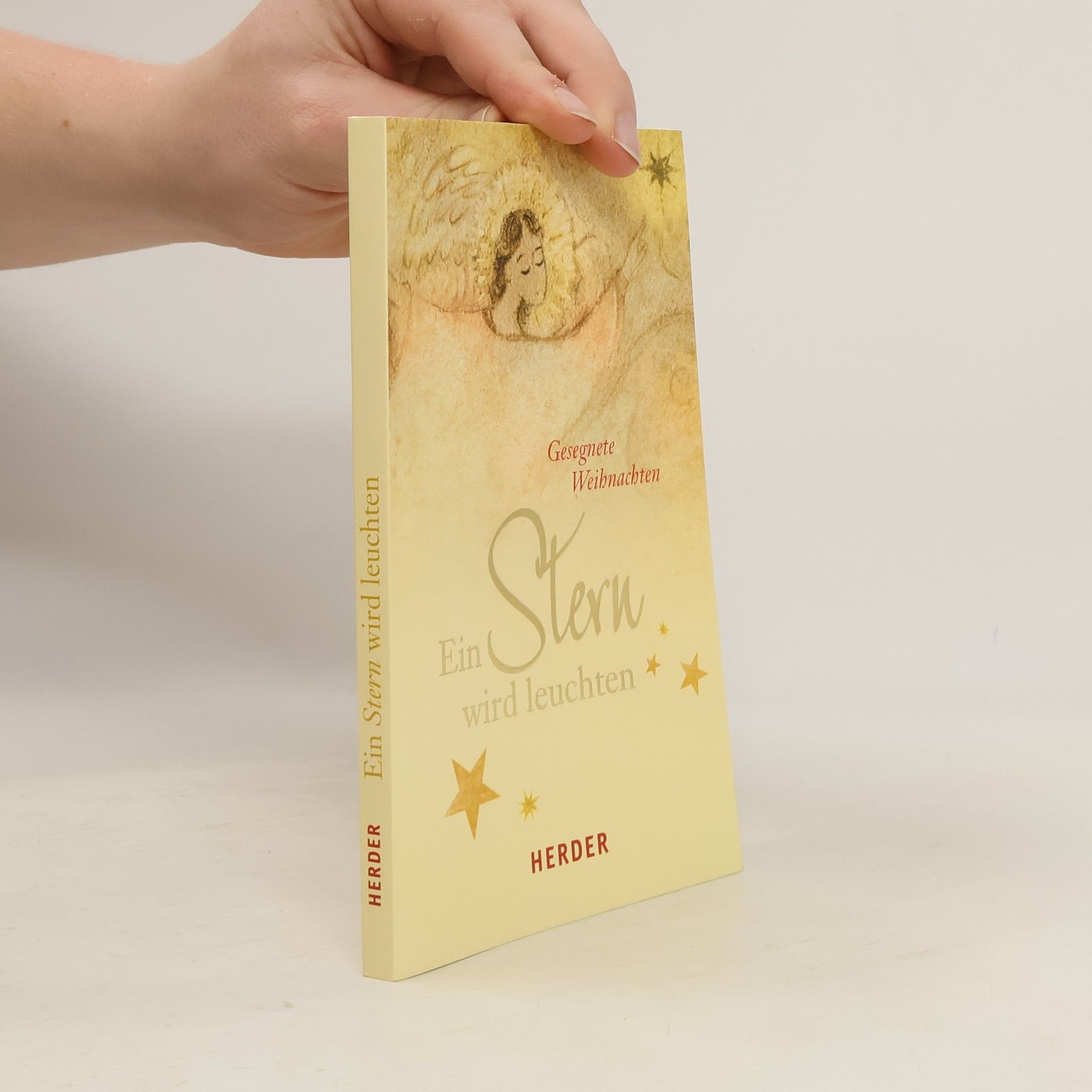 Kolektív autorov Ein Stern wird leuchten