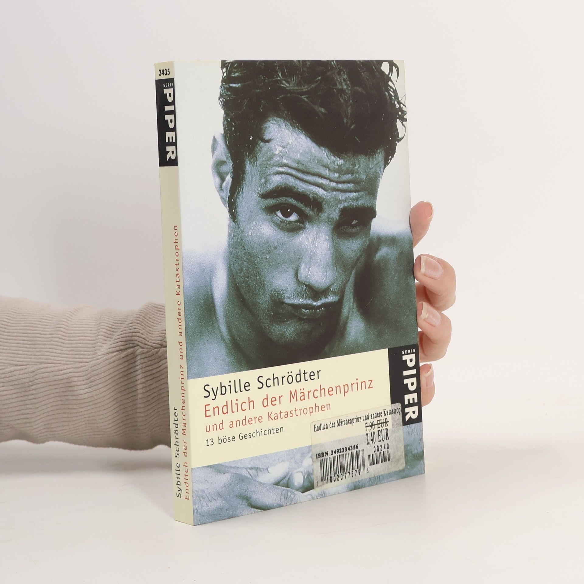 Sybille Schrödter Endlich der Märchenprinz und andere Katastrophen