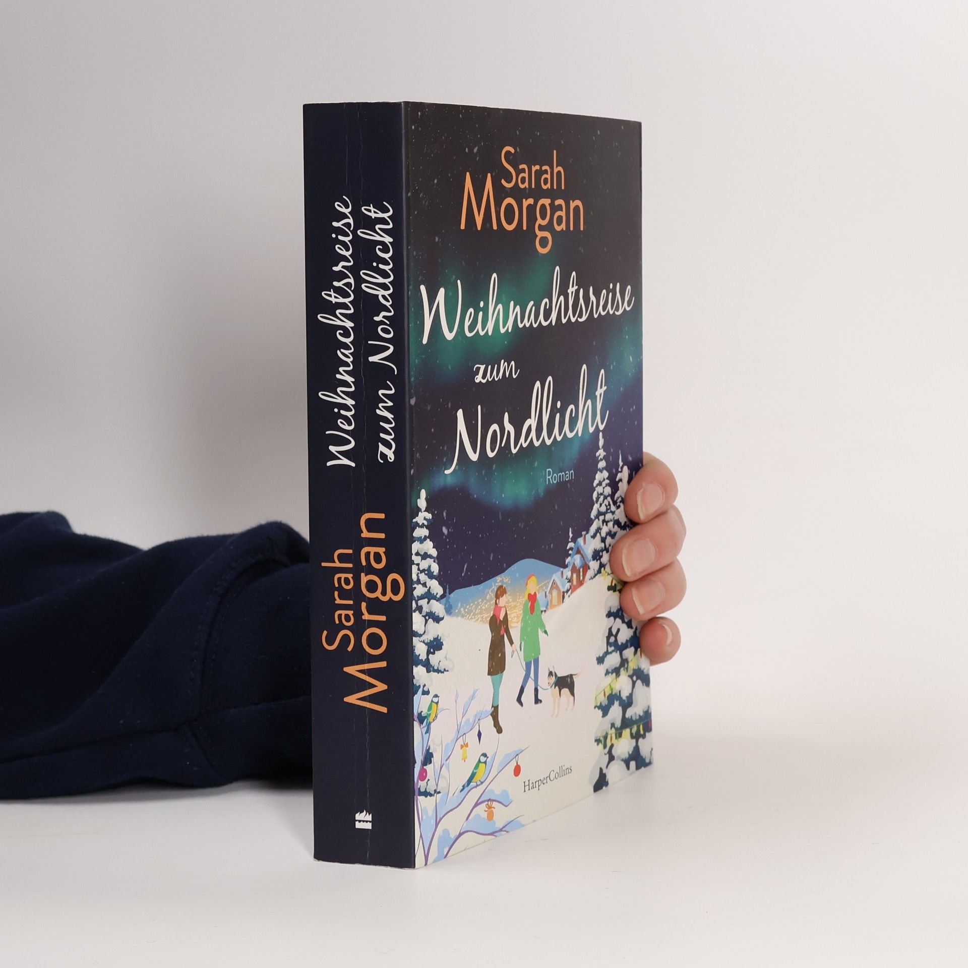 Sarah Morgan Weihnachtsreise zum Nordlicht