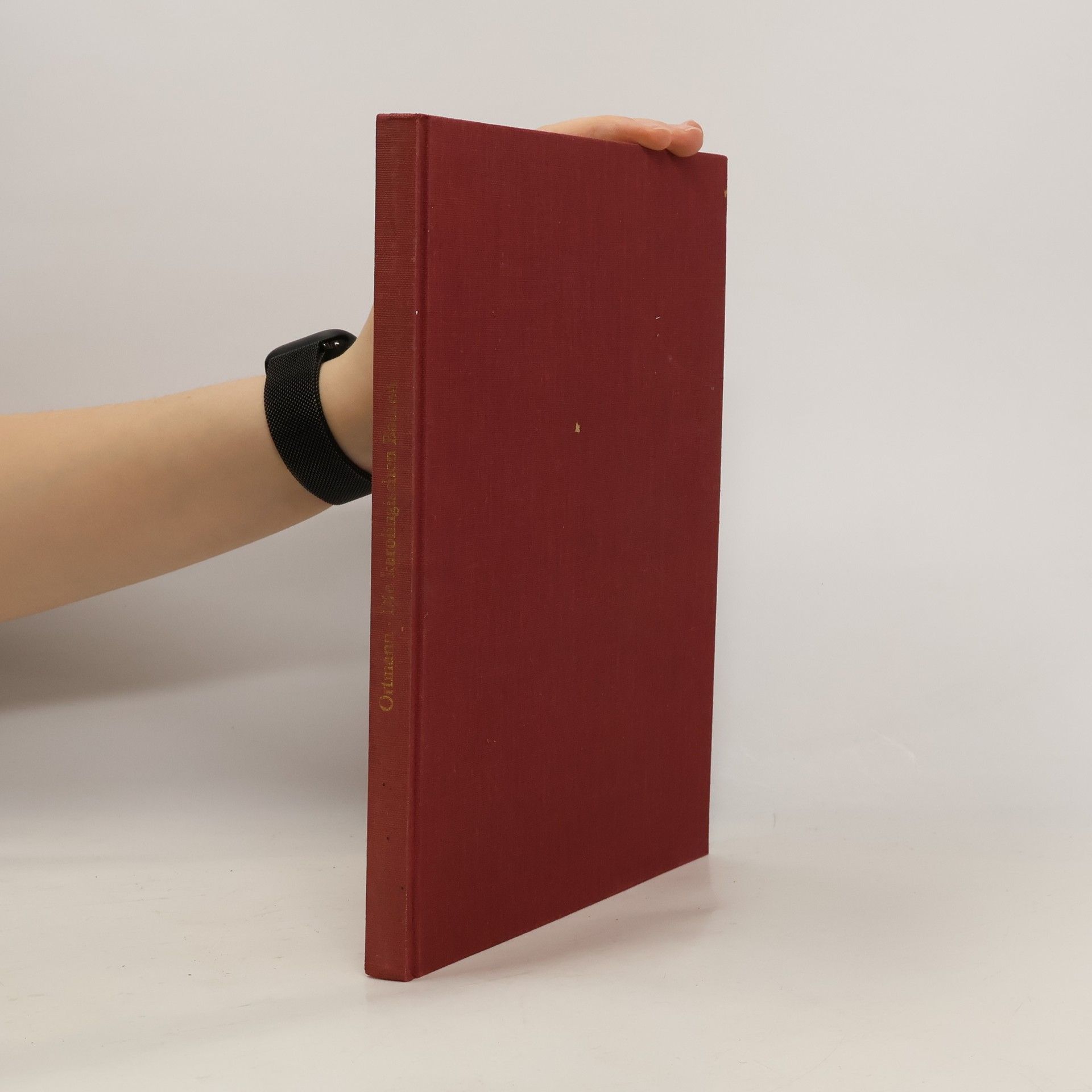 Die karolingischen Bauten unter der Abdinghof-Kirche zu Paderborn und das Kloster Bischof Meinwerks