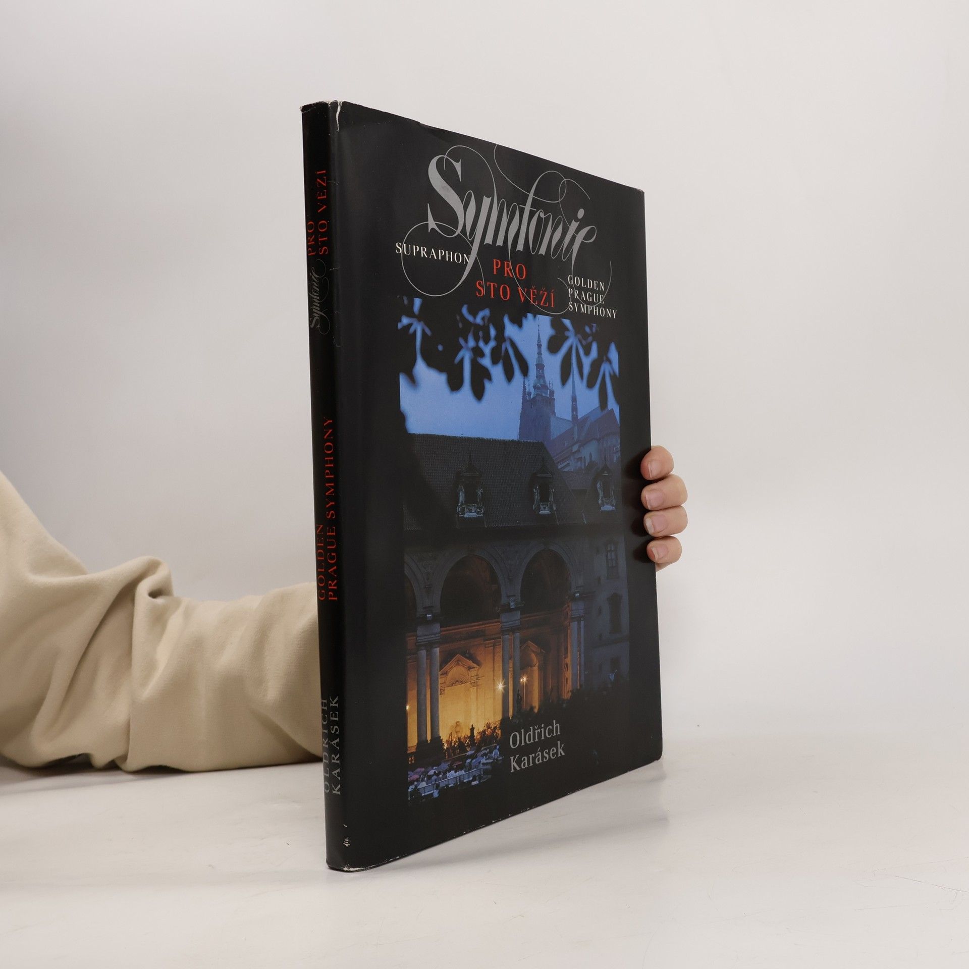 Pavel Hrach Symfonie pro sto věží