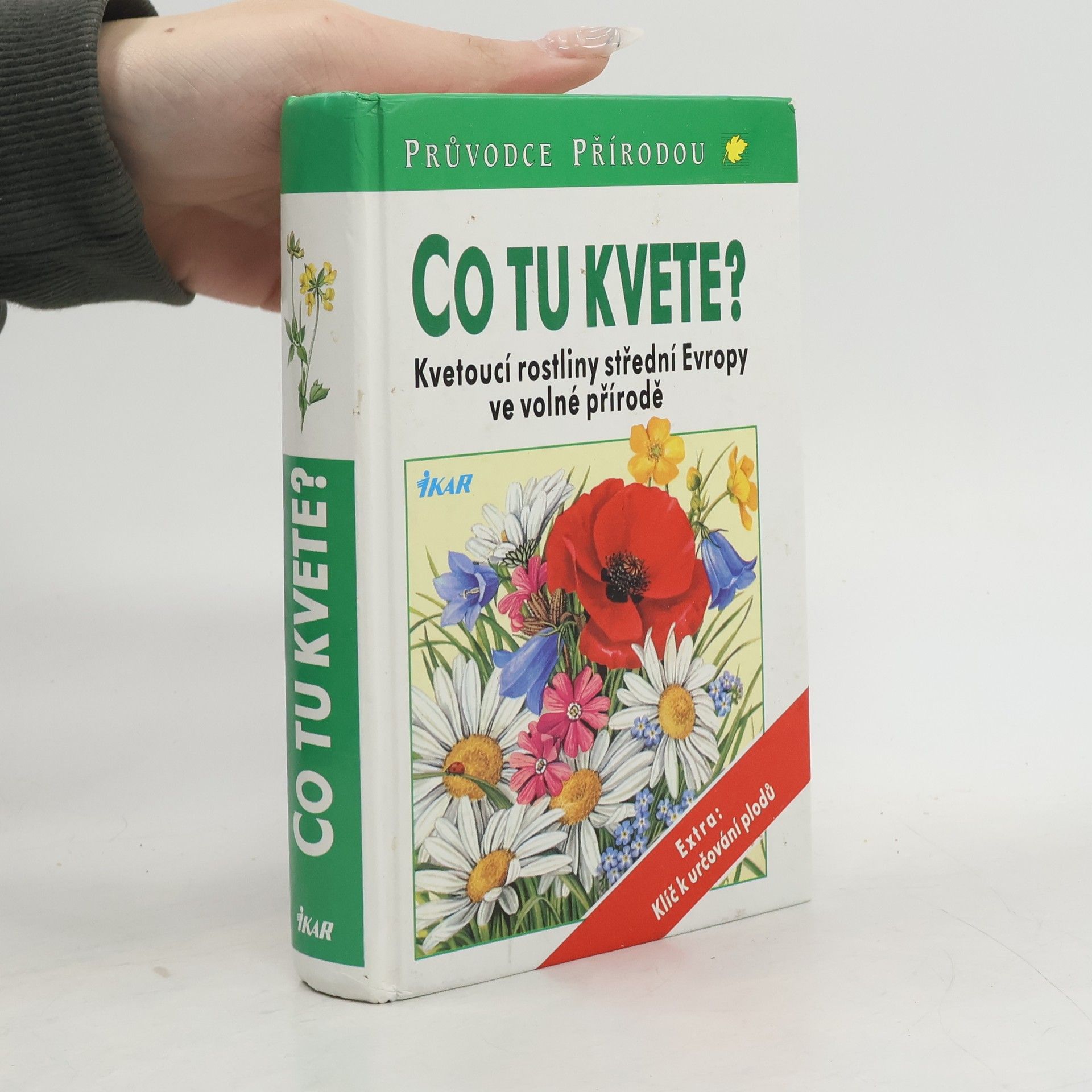 Dietmar Ernst Aichele Co tu kvete?