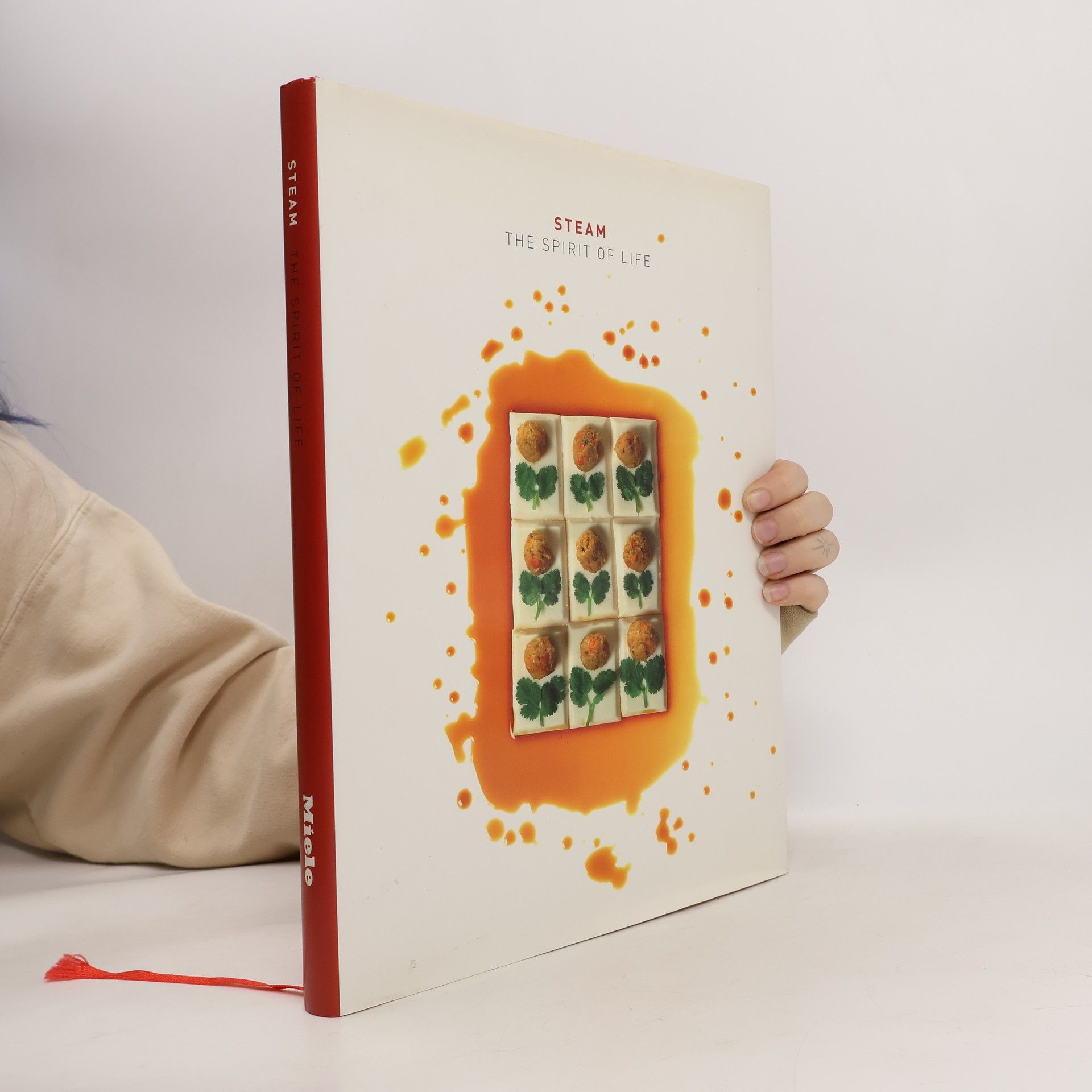 Steam the Spirit of Life