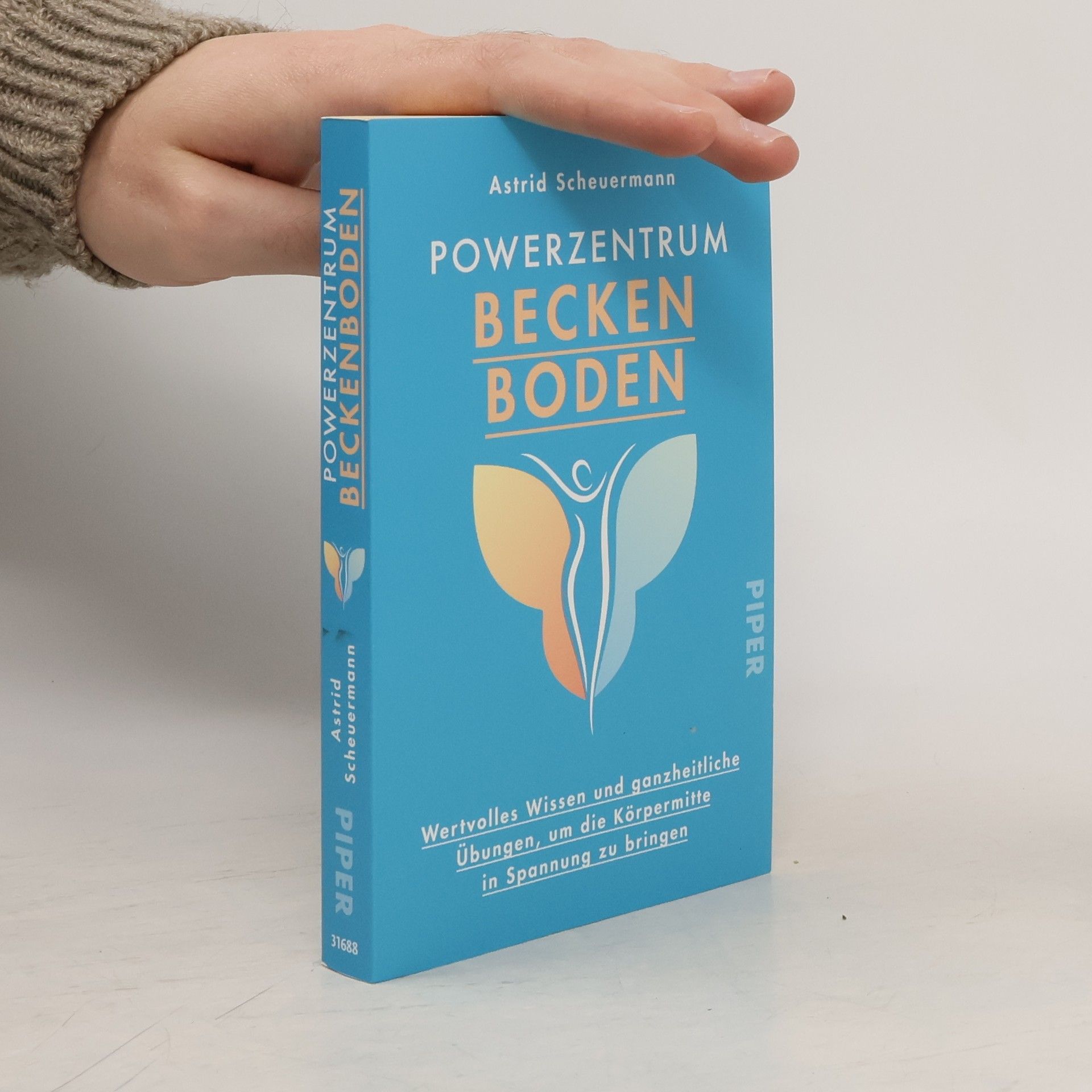 Powerzentrum Beckenboden
