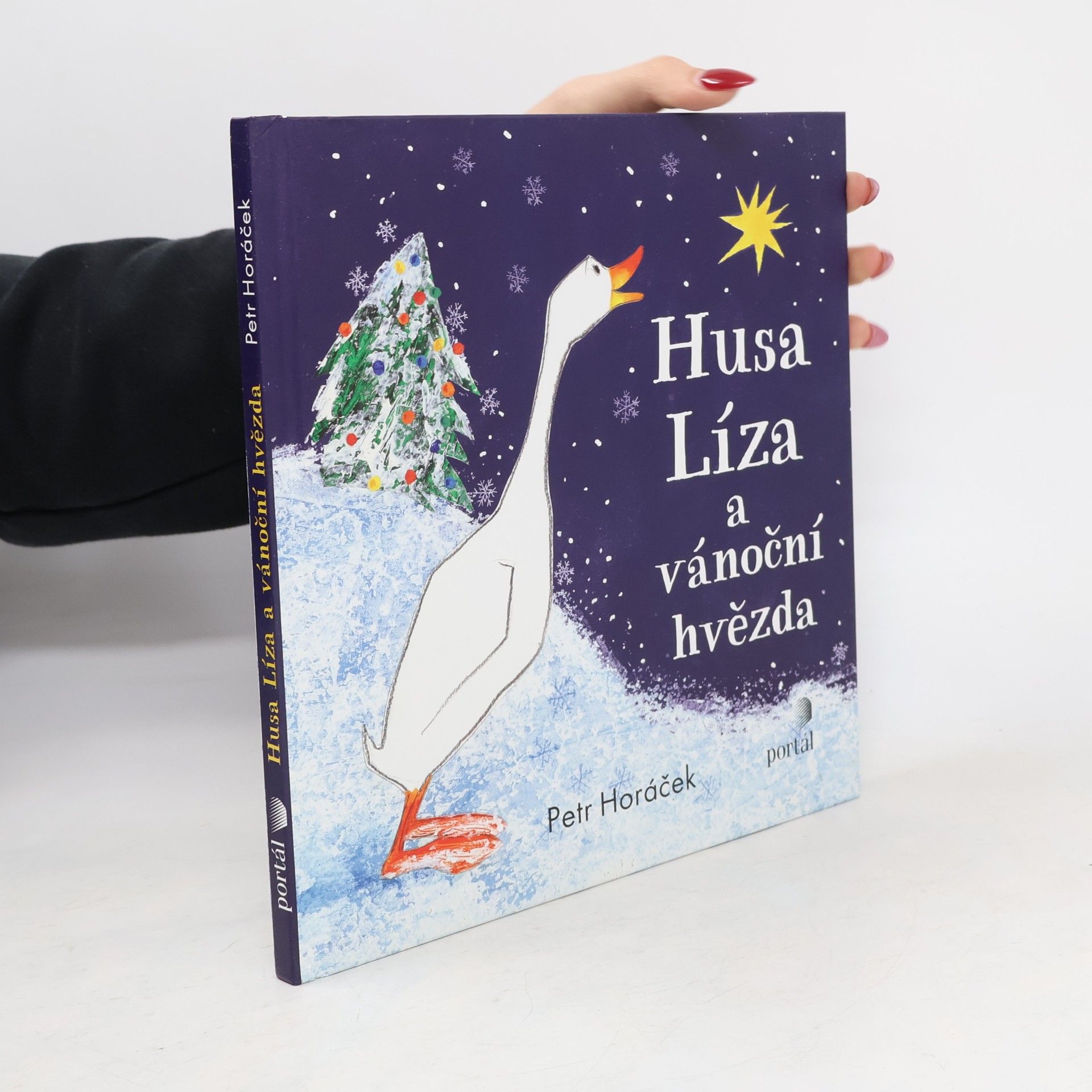 Horacek Petr Husa Líza a vánoční hvězda