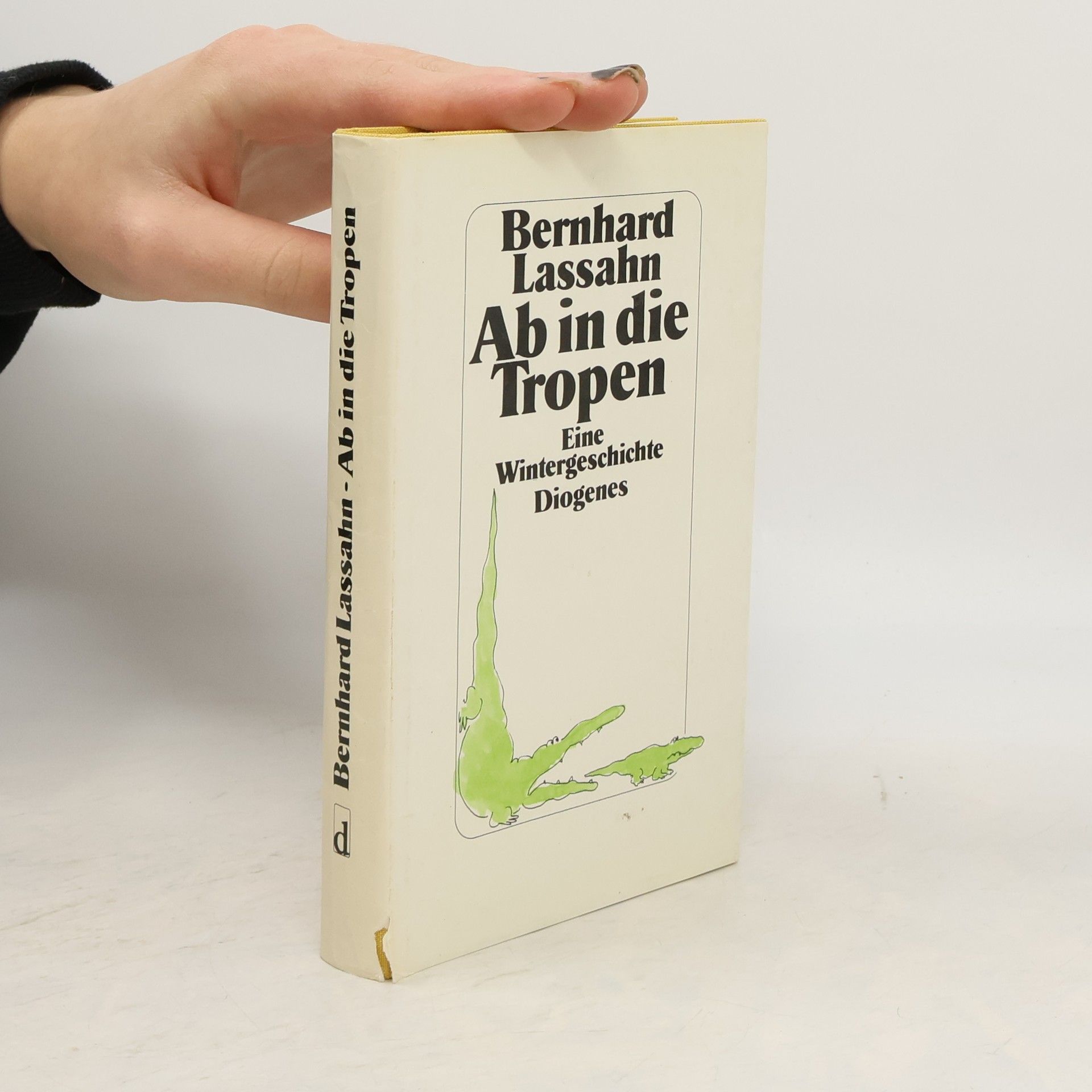 Bernhard Lassahn Ab in die Tropen. Eine Wintergeschichte