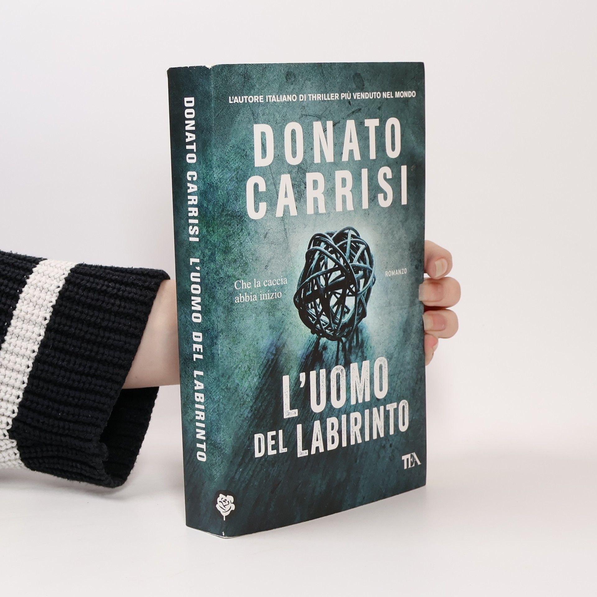 Donato Carrisi I Grandi TEA: L'uomo del labirinto
