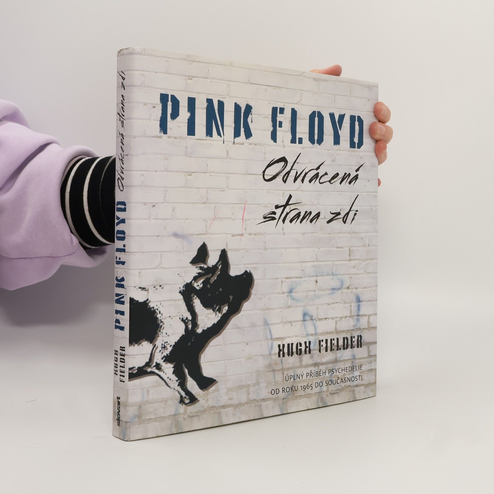 Hugh Fielder Pink Floyd : odvrácená strana zdi : úplný příběh psychedelie od roku 1965 do současnosti