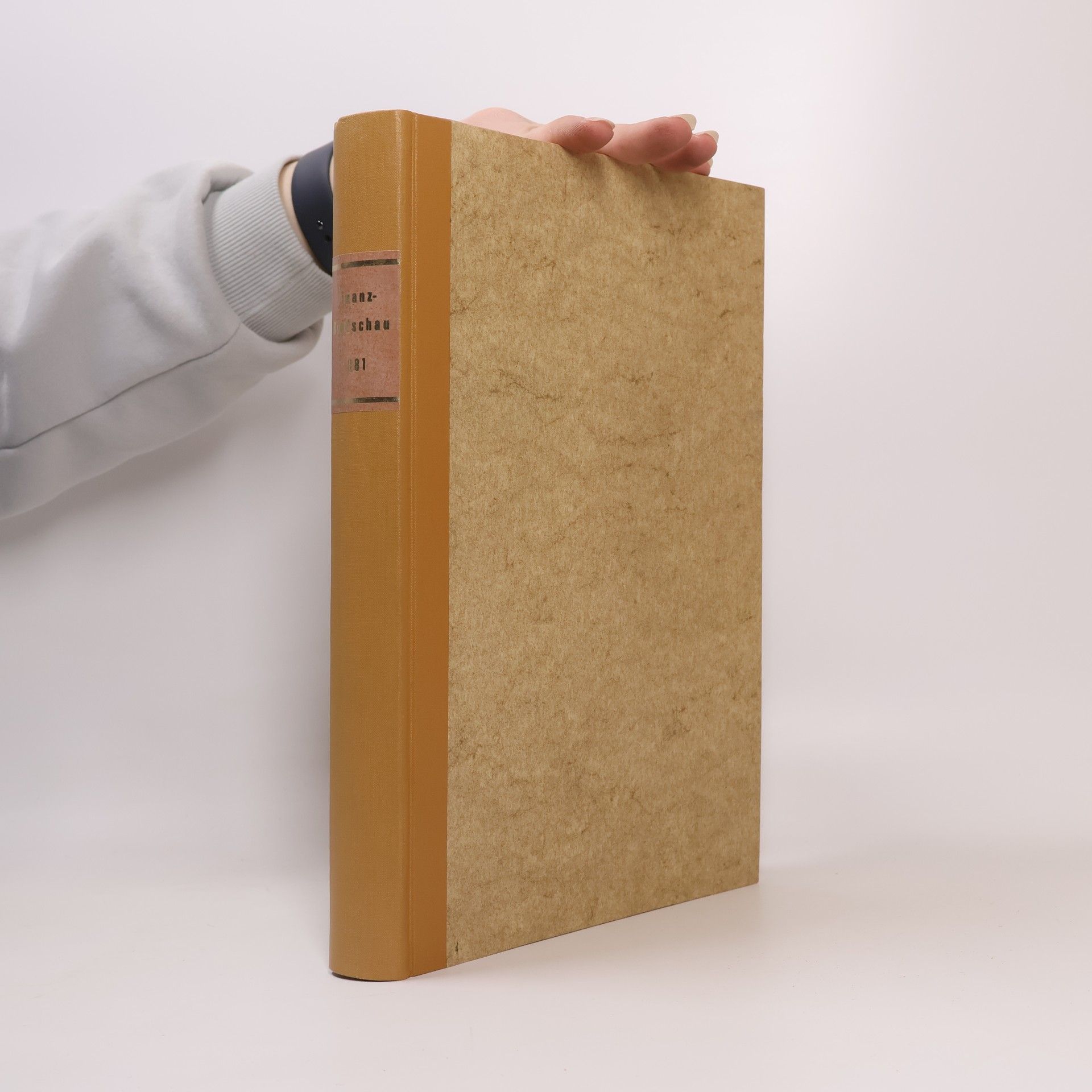 Autorenkollektiv Finanz-Rundschau 1981