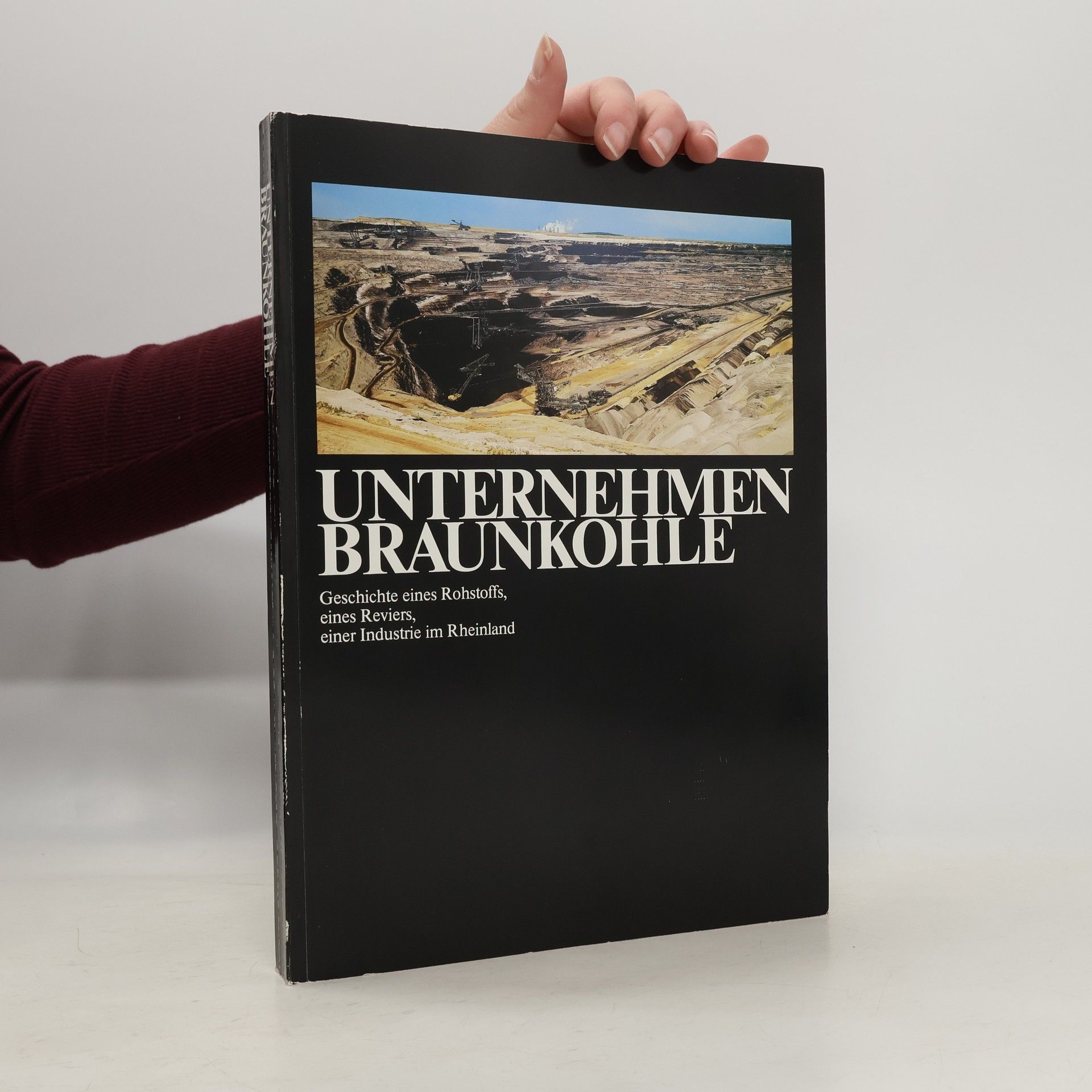 Arno Kleinebeckel Unternehmen Braunkohle