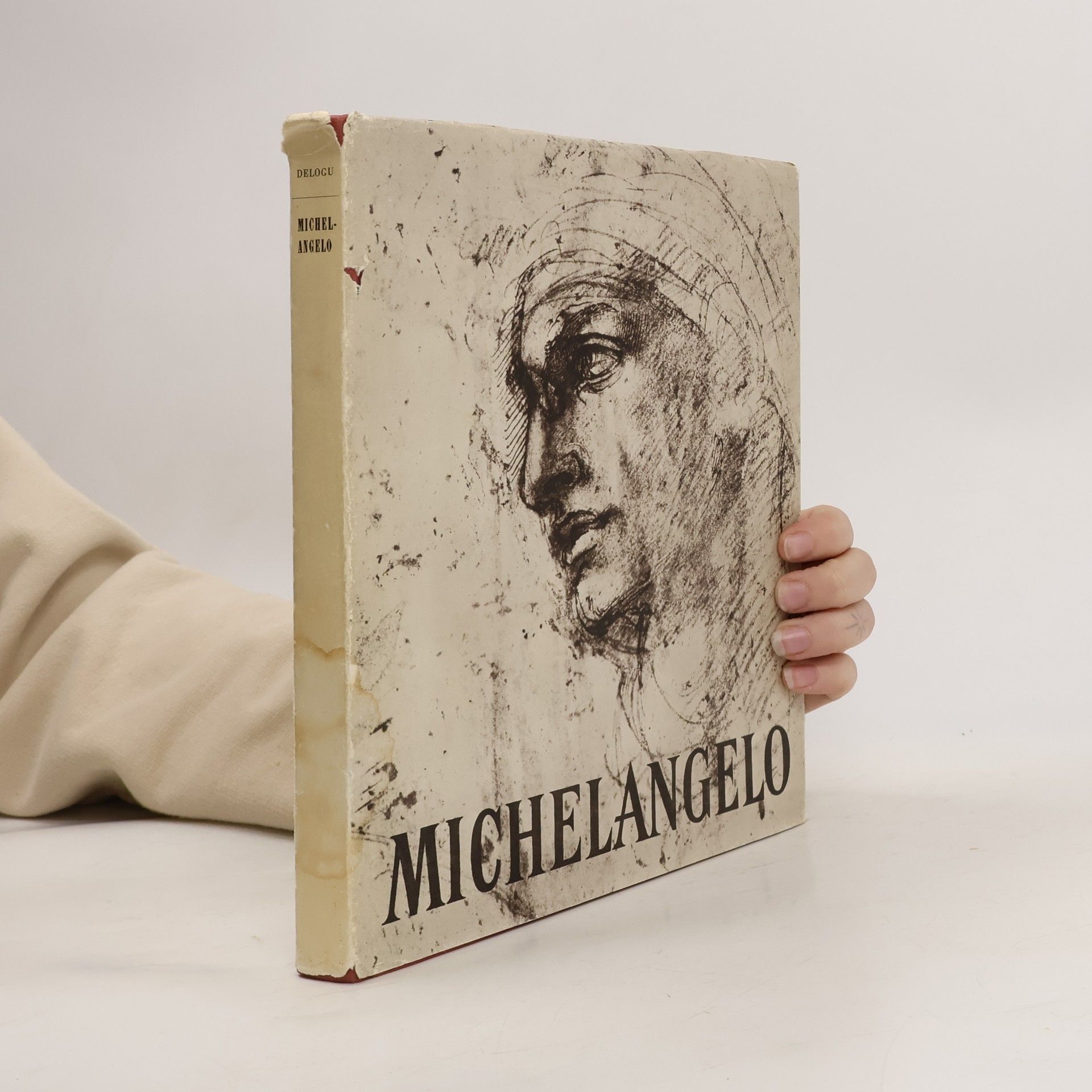 Autorenkollektiv Michelangelo