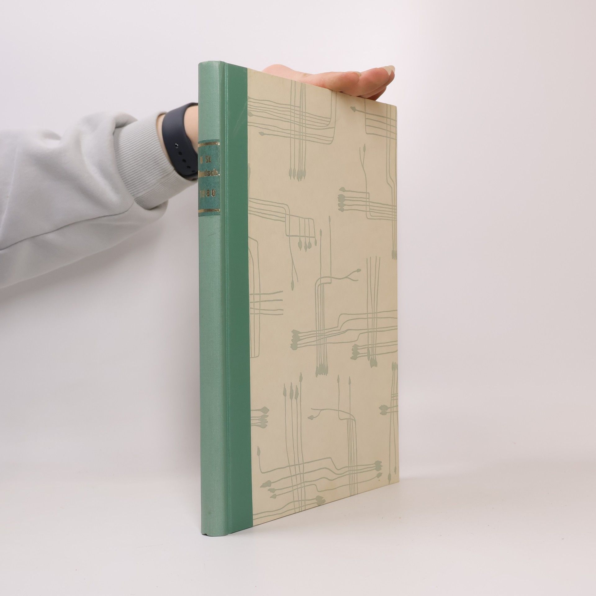 Kolektív autorov Umsatzsteuer-Rundschau 1980