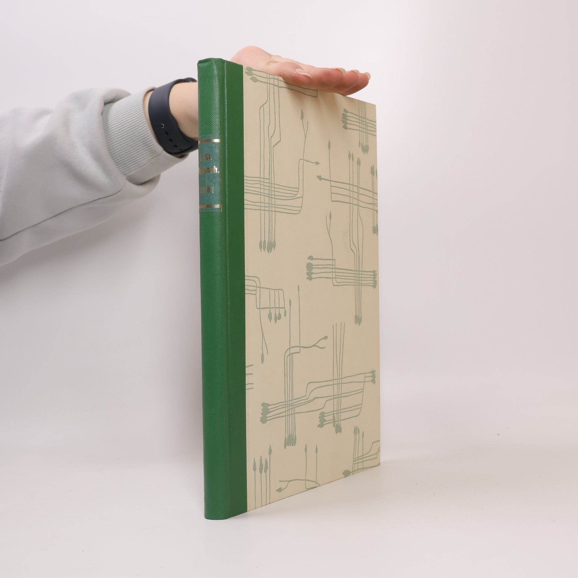 Kolektív autorov Umsatzsteuer-Bundschau 1981