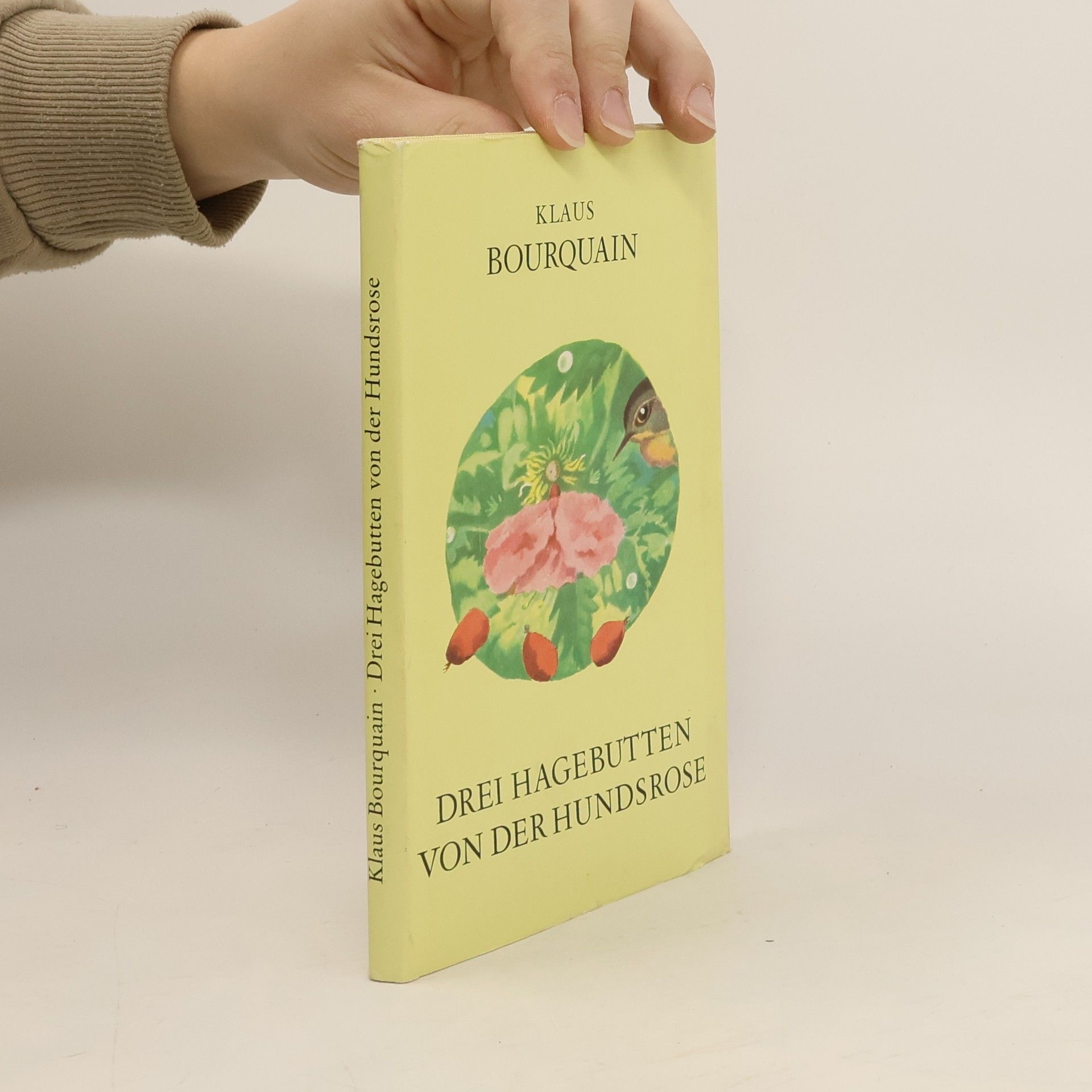 Drei Hagebutten von der Hundsrose