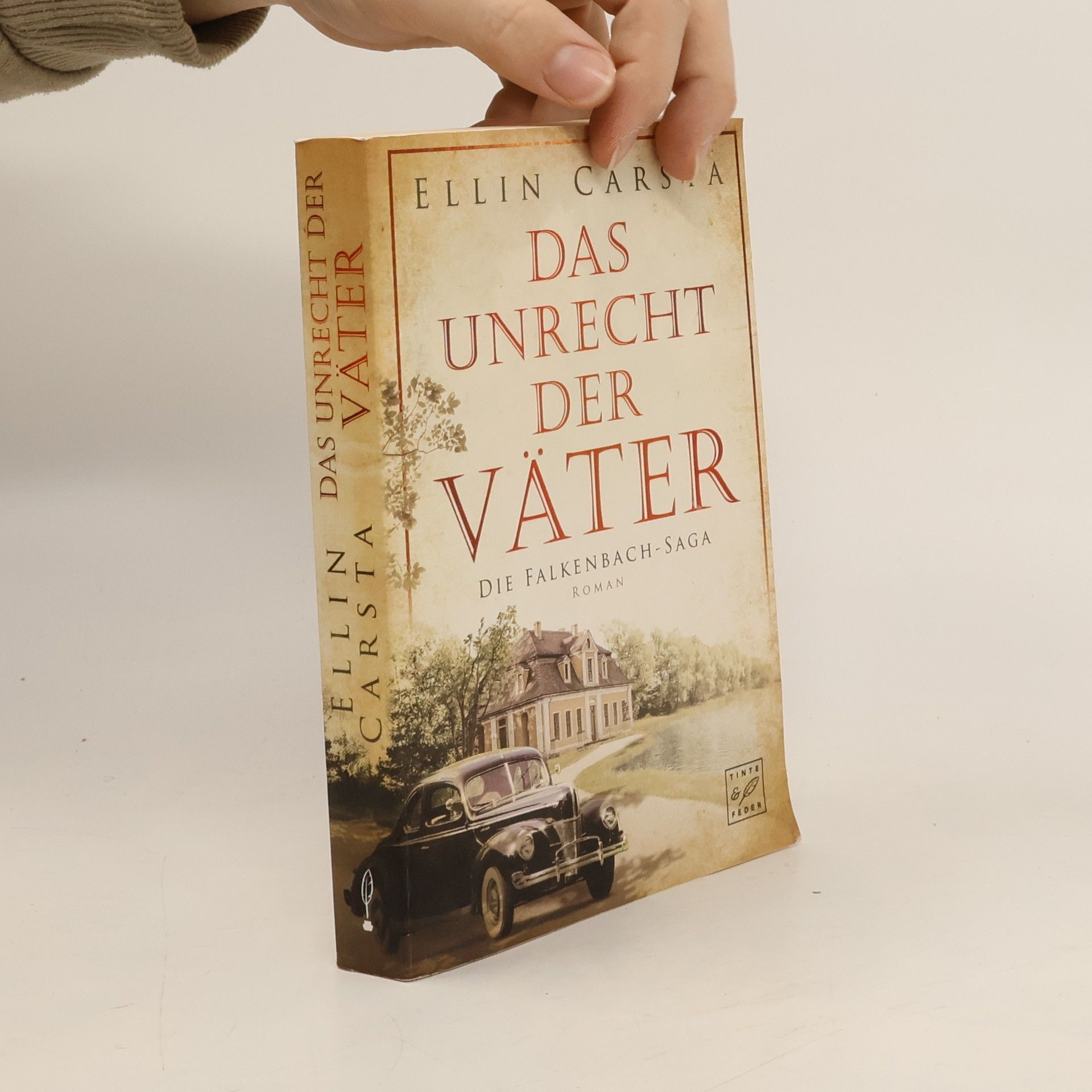 Ellin Carsta Das Unrecht der Väter