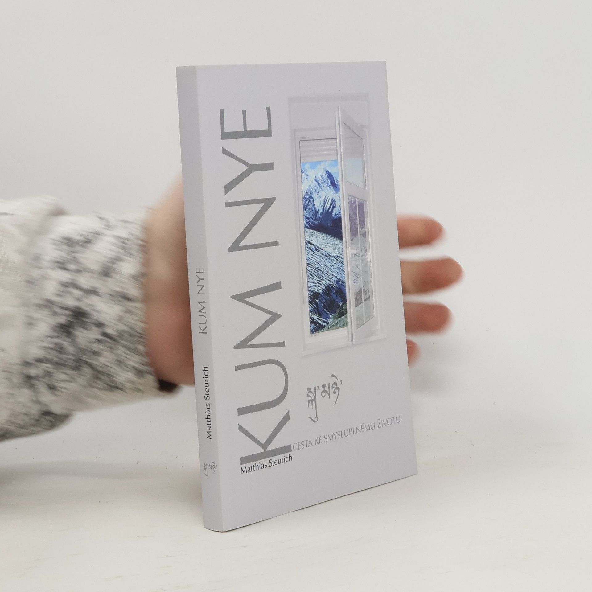 Matthias Steurich Kum Nye cesta ke smysluplnému životu