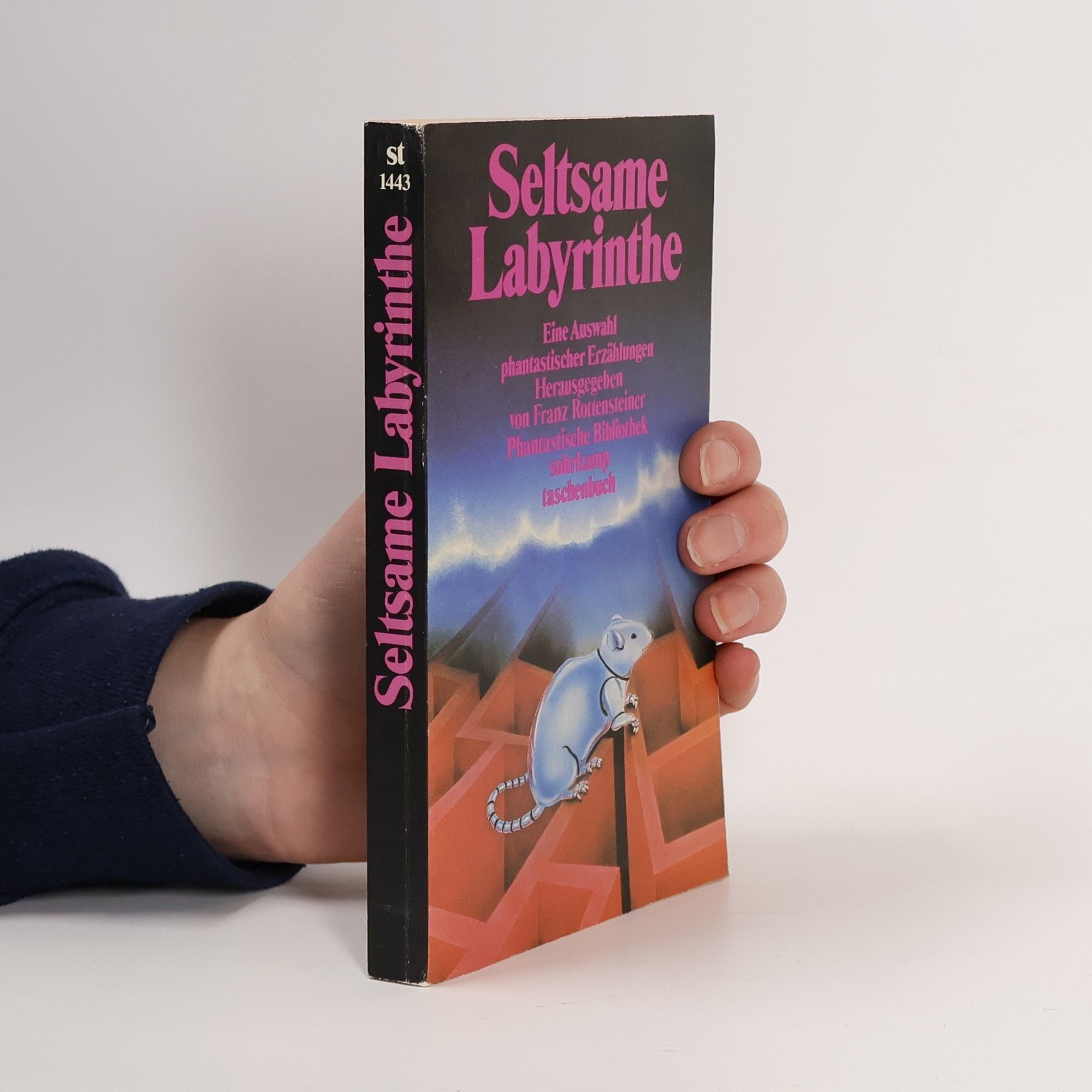 Franz Rottensteiner Seltsame Labyrinthe