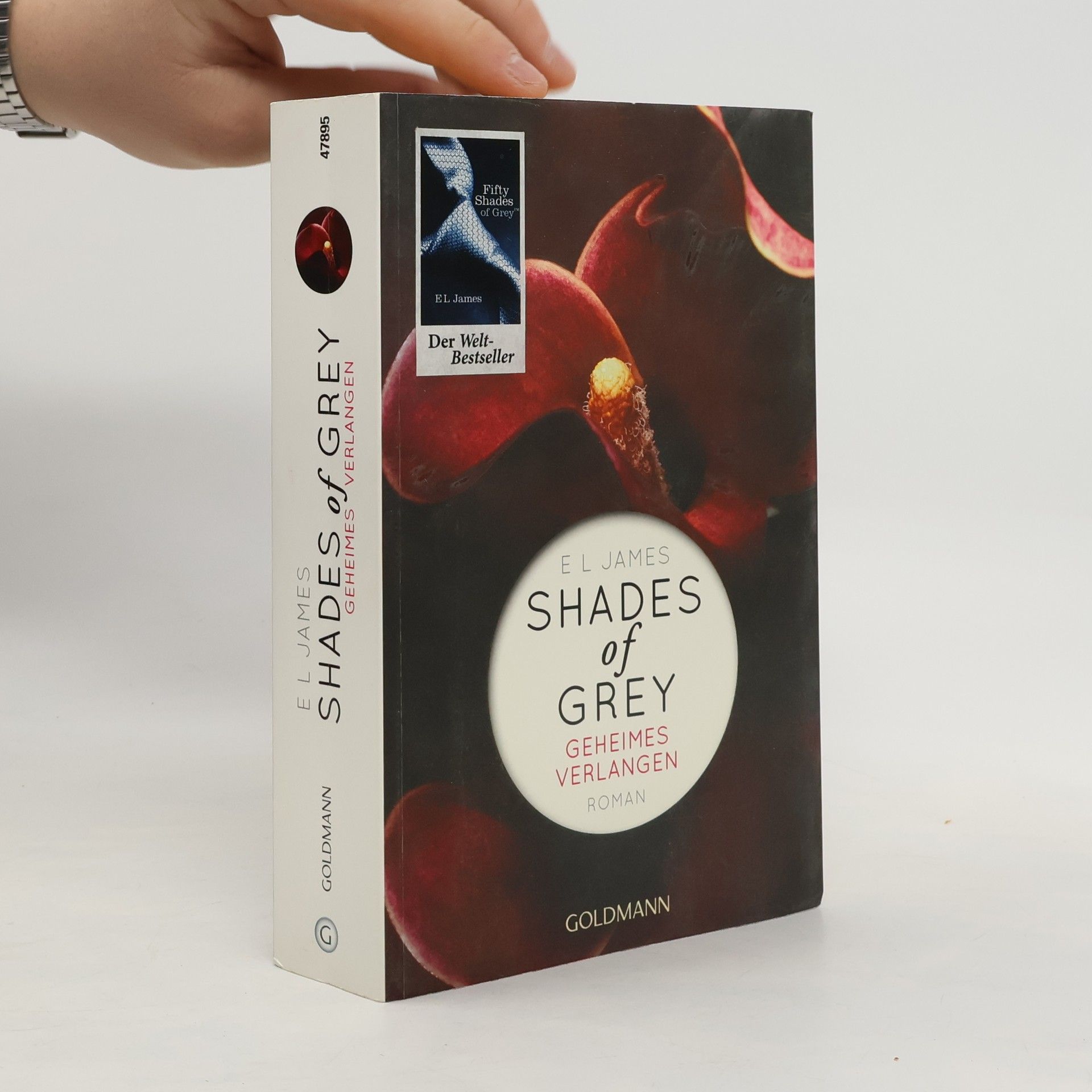 Shades of Grey. Geheimes Verlangen