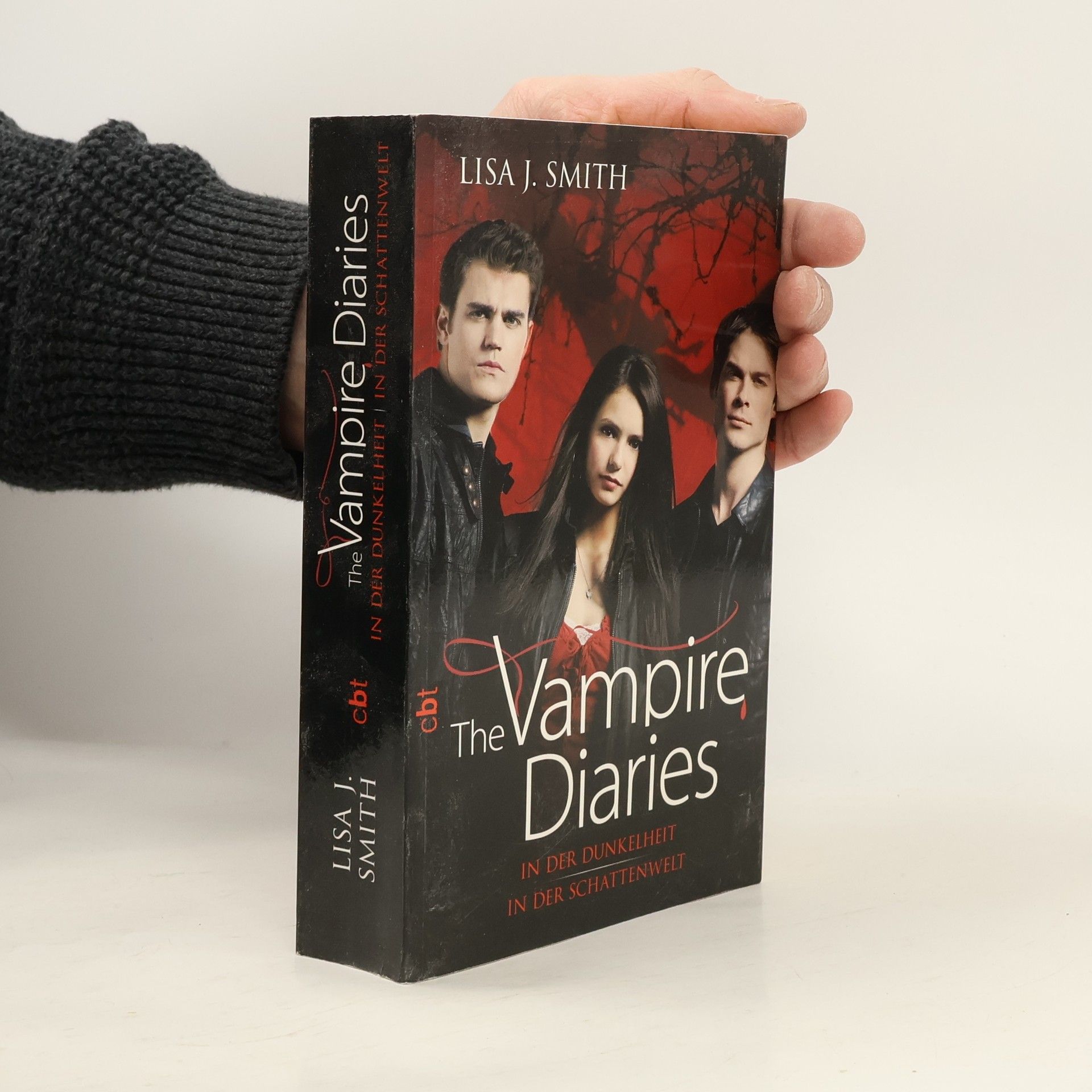 L. J. Smith The vampire diaries - In der Dunkelheit