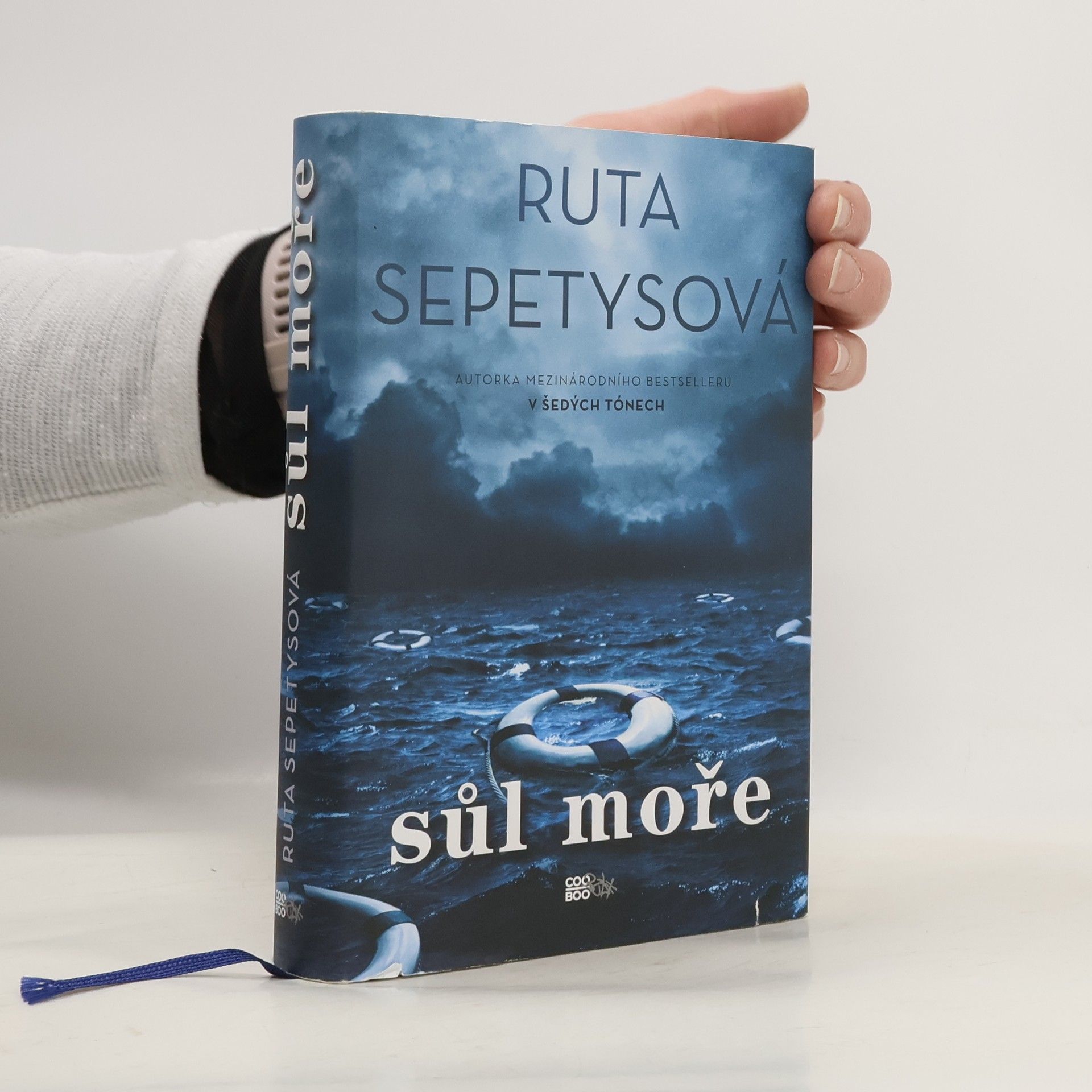 Ruta Sepetys Sůl moře