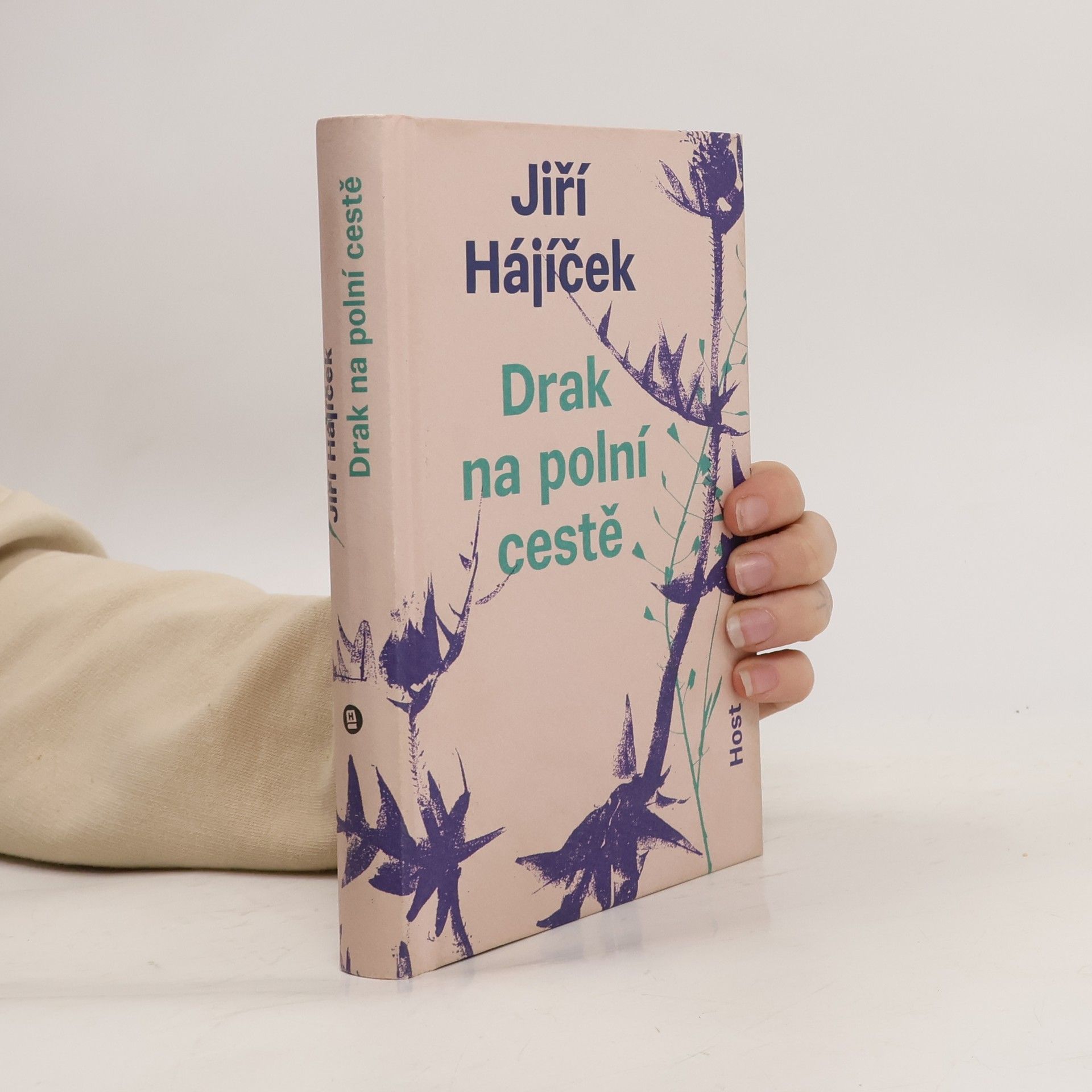 Jiří Hájíček Drak na polní cestě