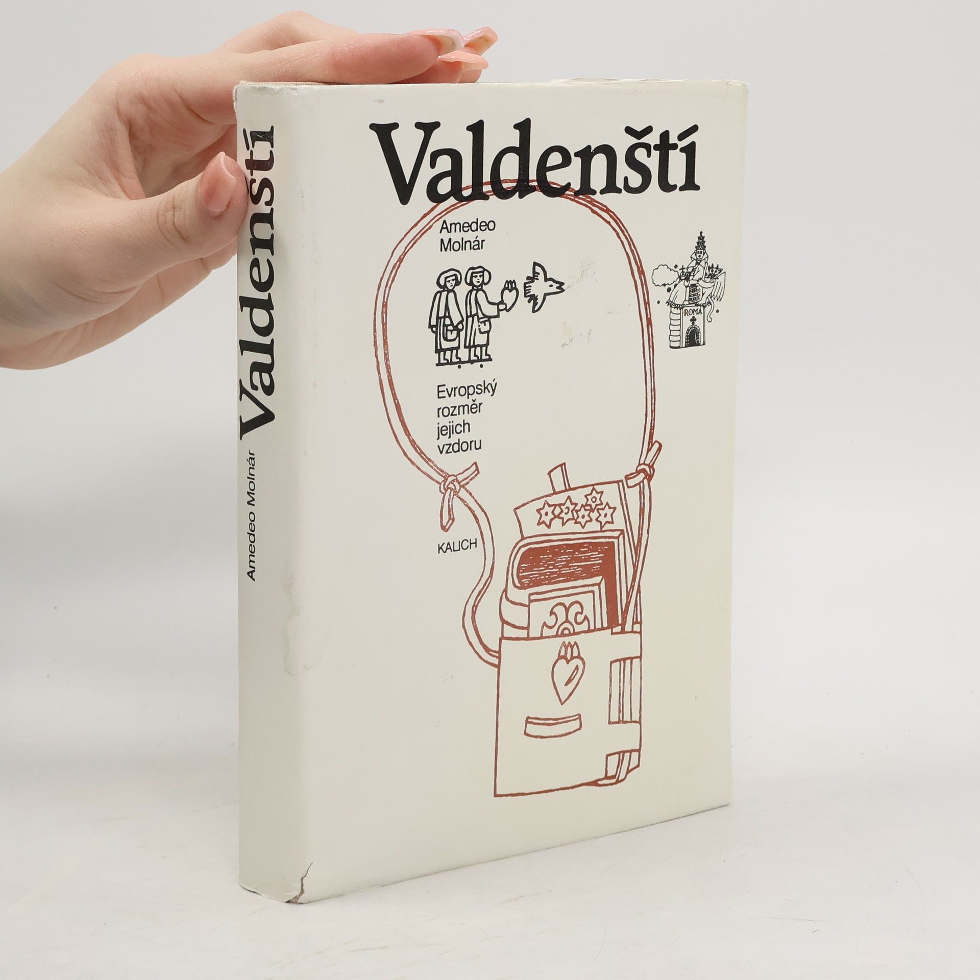 Amedeo Molnár Valdenští: evropský rozměr jejich vzdoru