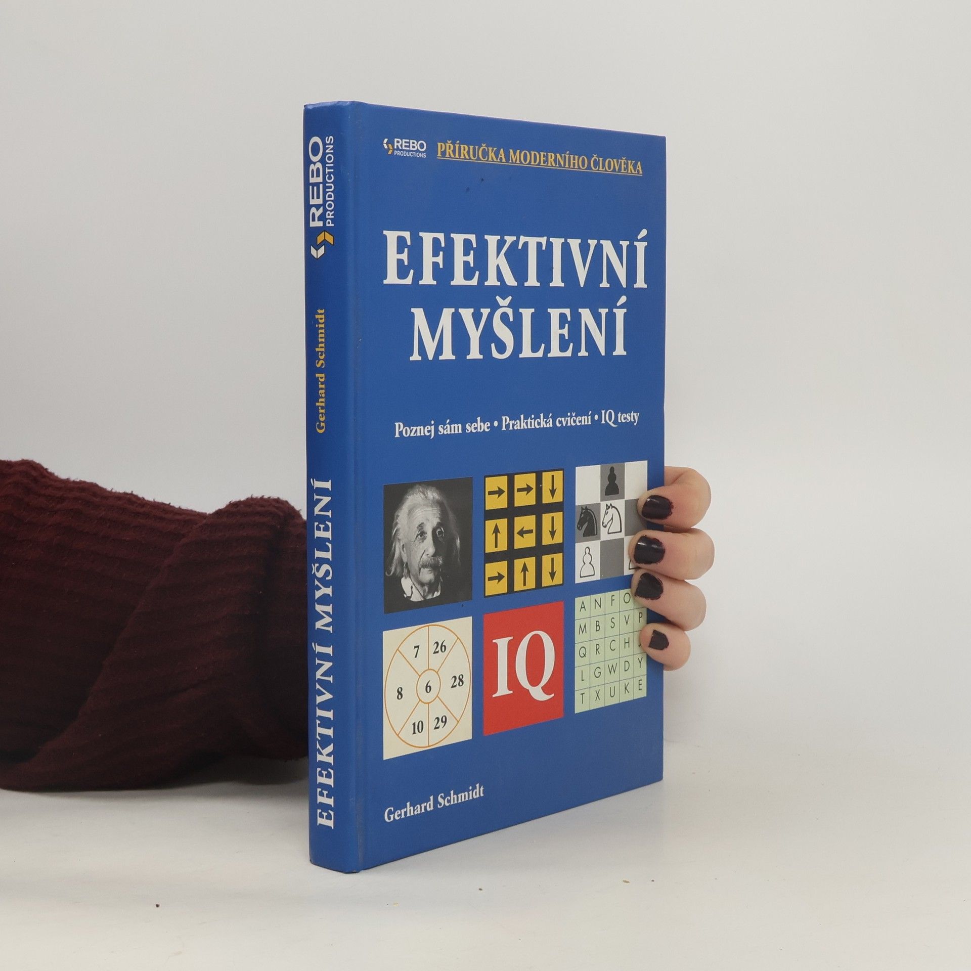 Gerhard Schmidt Efektivní myšlení