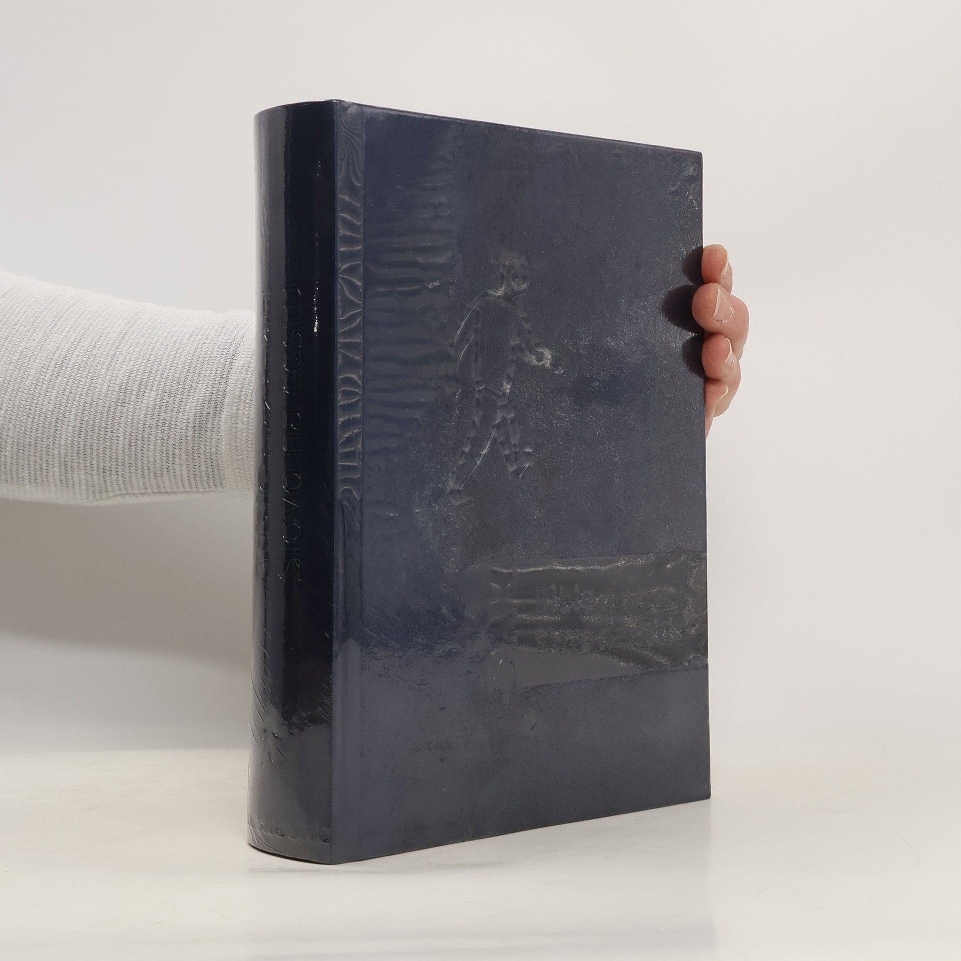 AA.VV. Bible s poznámkami: Slovo na cestu