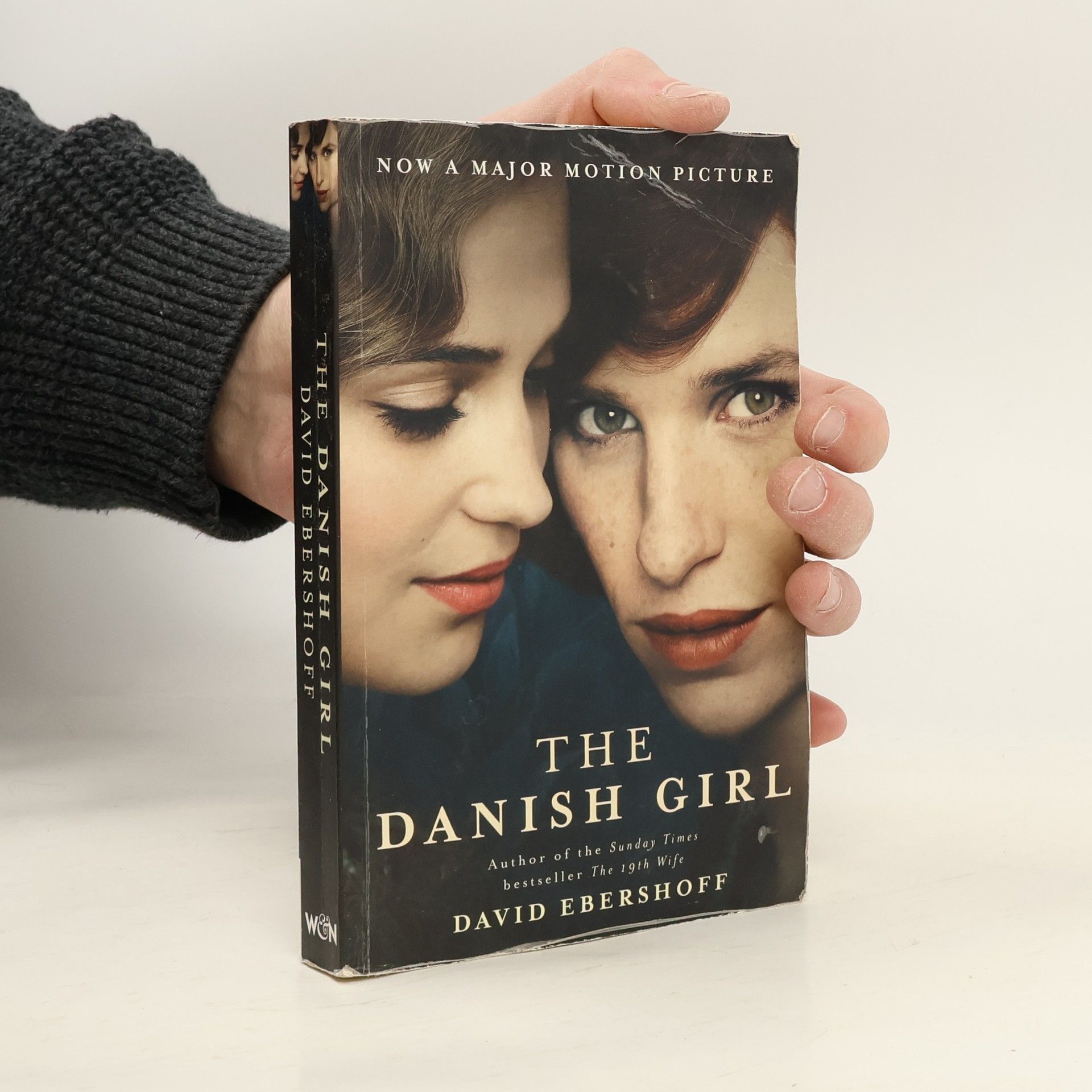 David Ebershoff The Danish girl