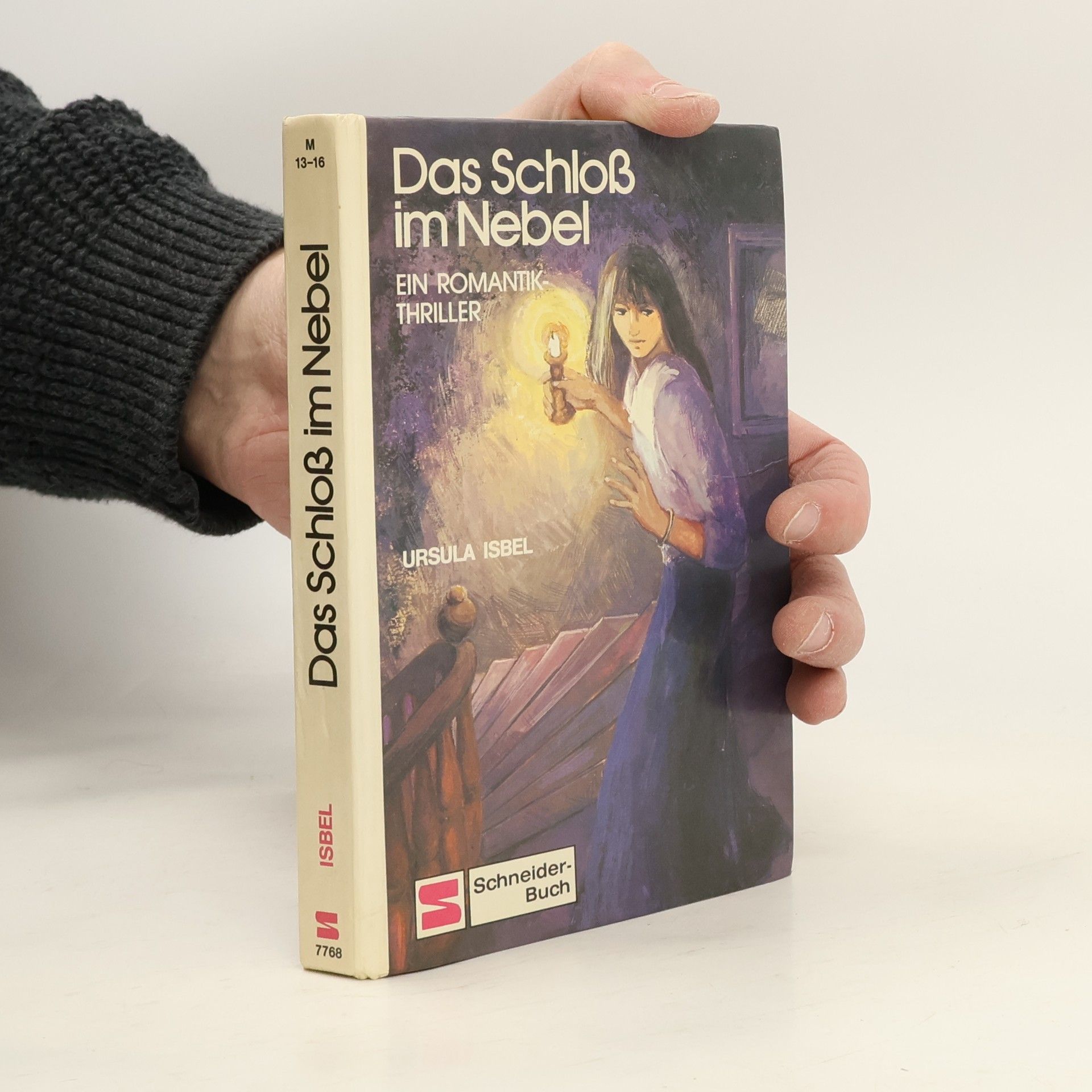 Ursula Isbel Das Schloss im Nebel