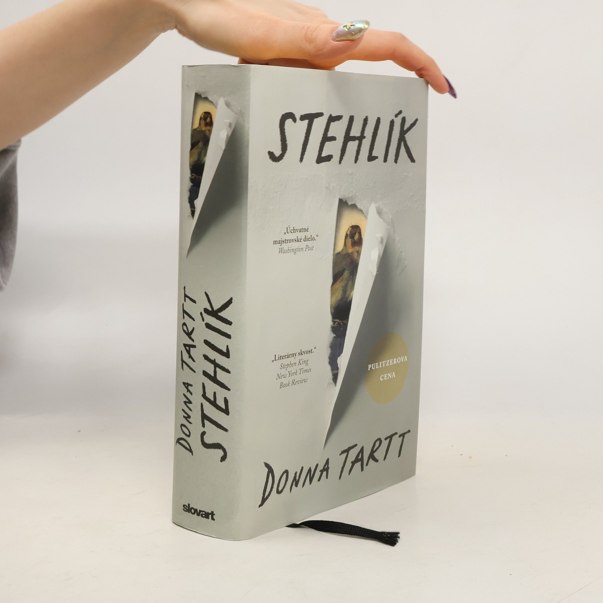Donna Tartt Stehlík